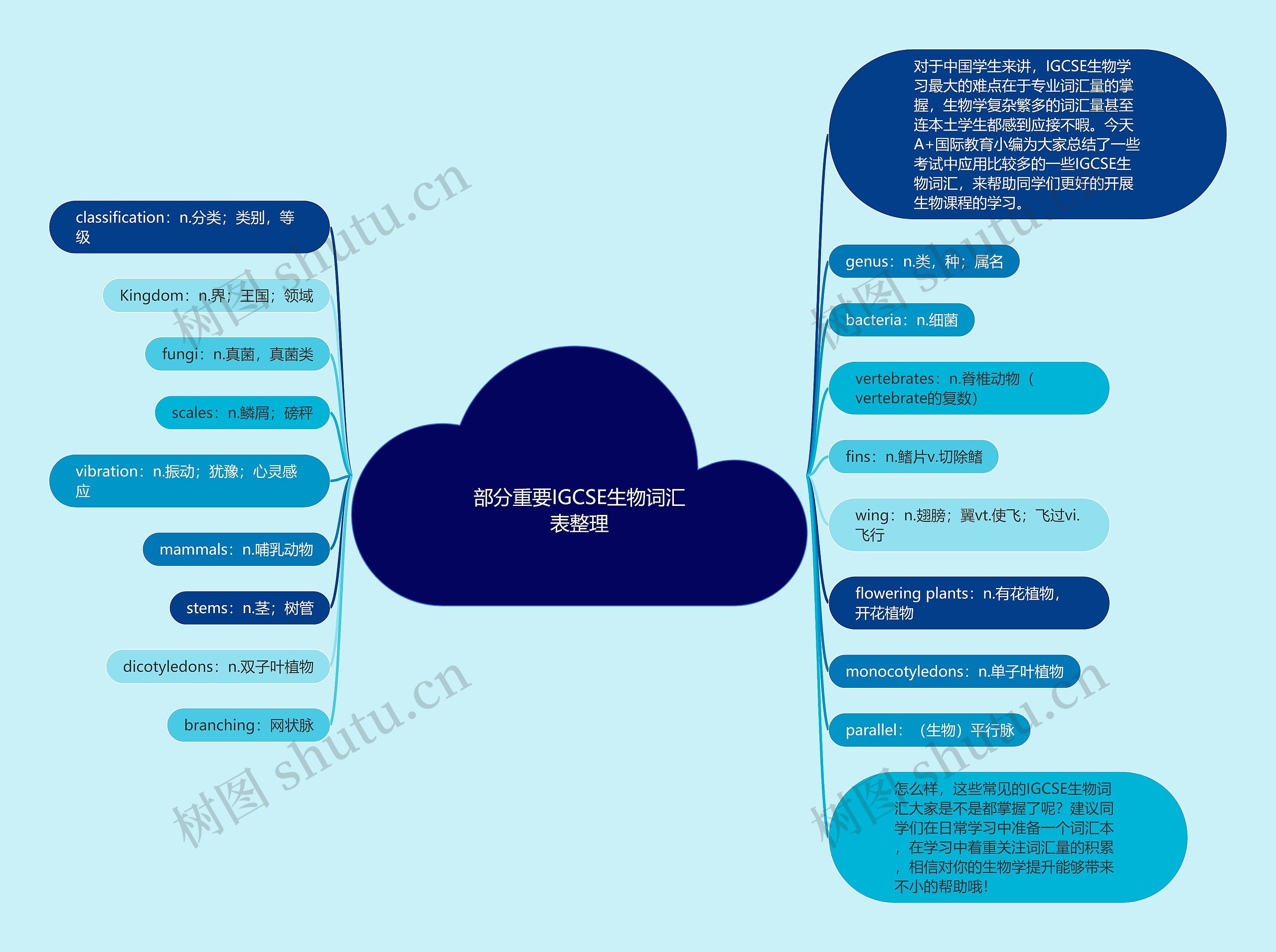 部分重要IGCSE生物词汇表整理思维导图