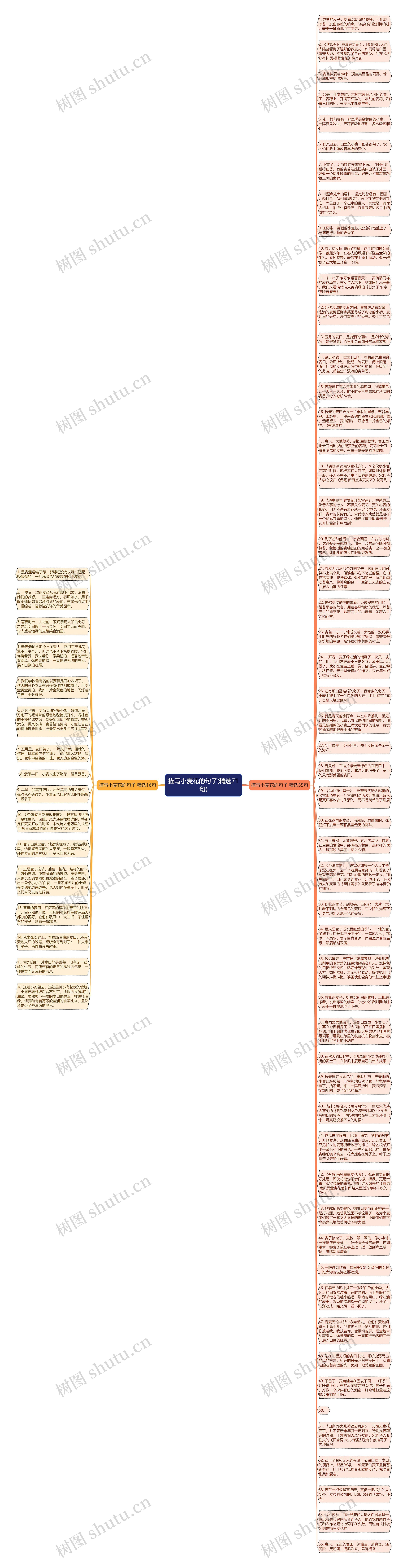描写小麦花的句子(精选71句)思维导图