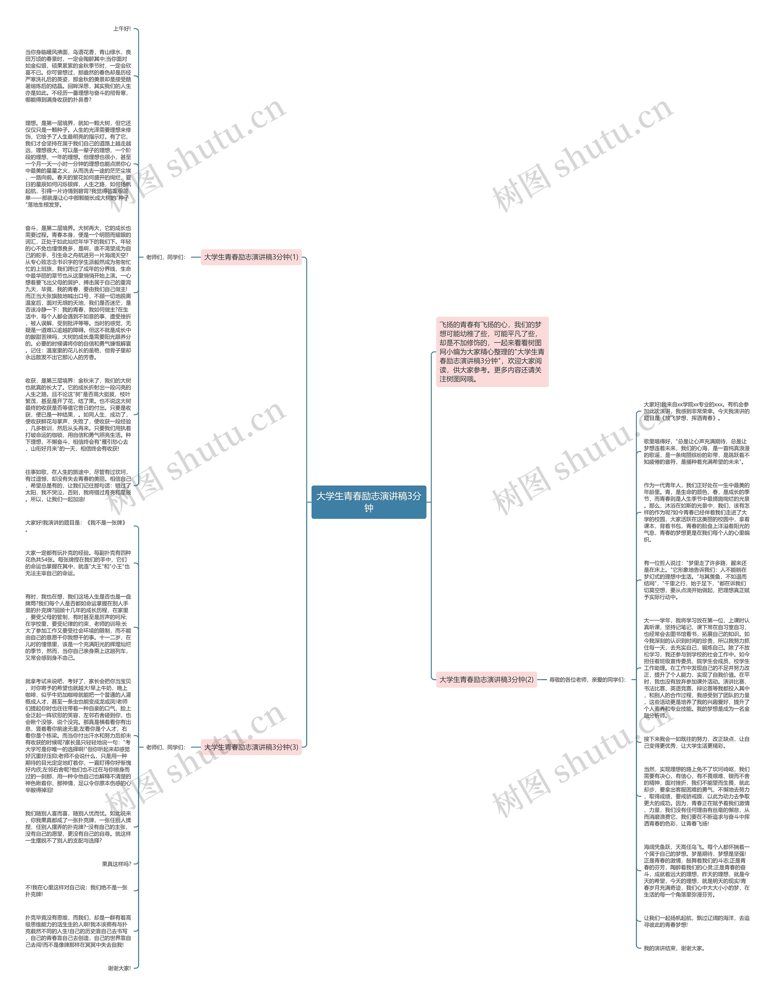 大学生青春励志演讲稿3分钟思维导图