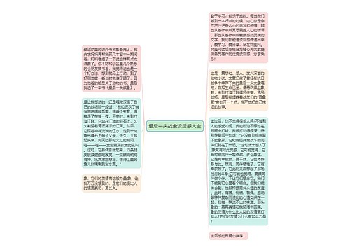 最后一头战象读后感大全 最后一头战象读后感大全