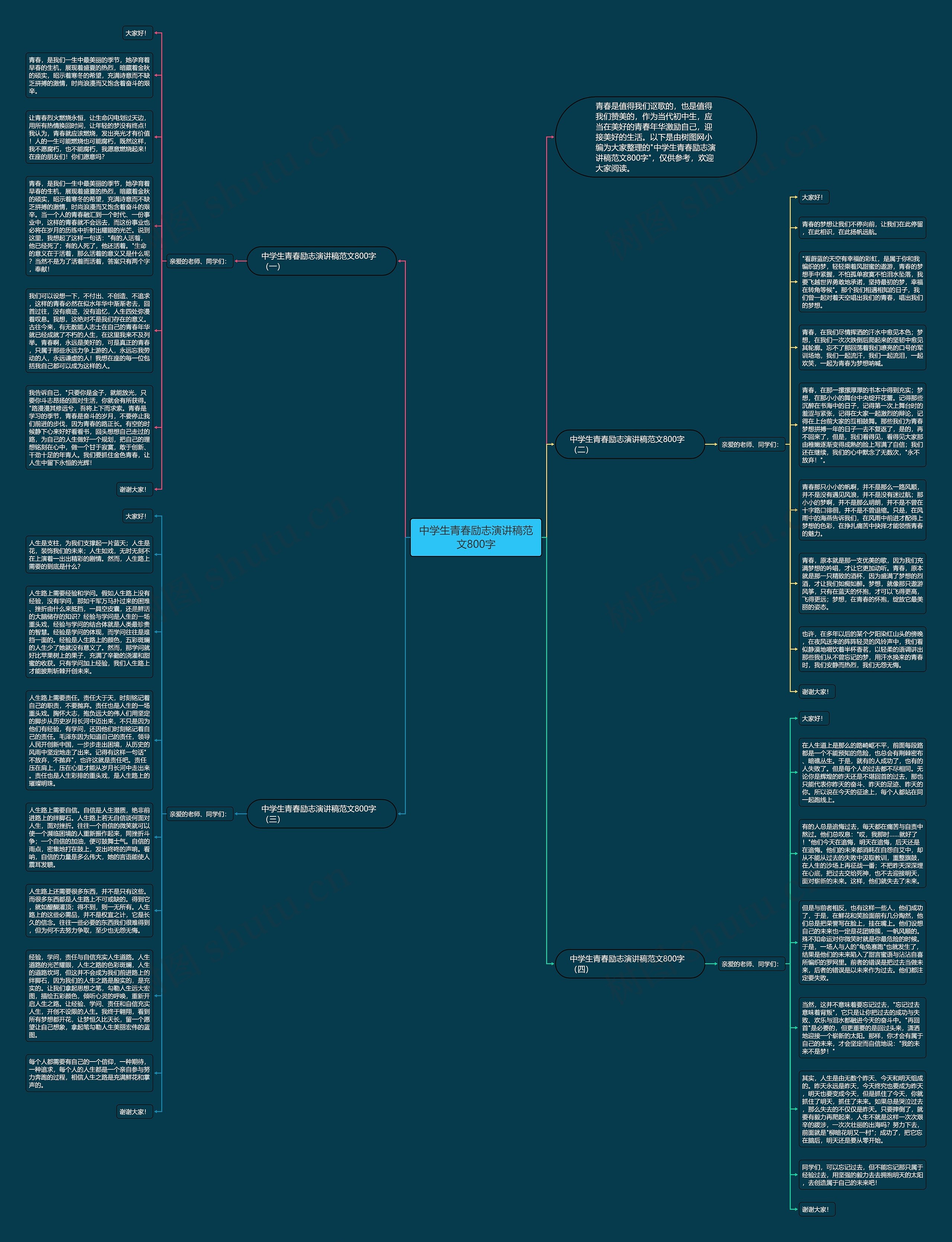 中学生青春励志演讲稿范文800字思维导图
