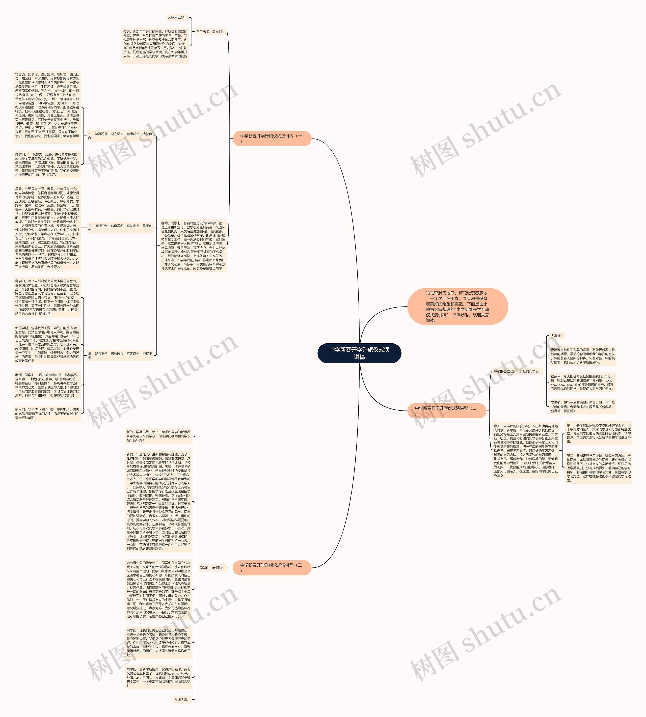 中学新春开学升旗仪式演讲稿思维导图