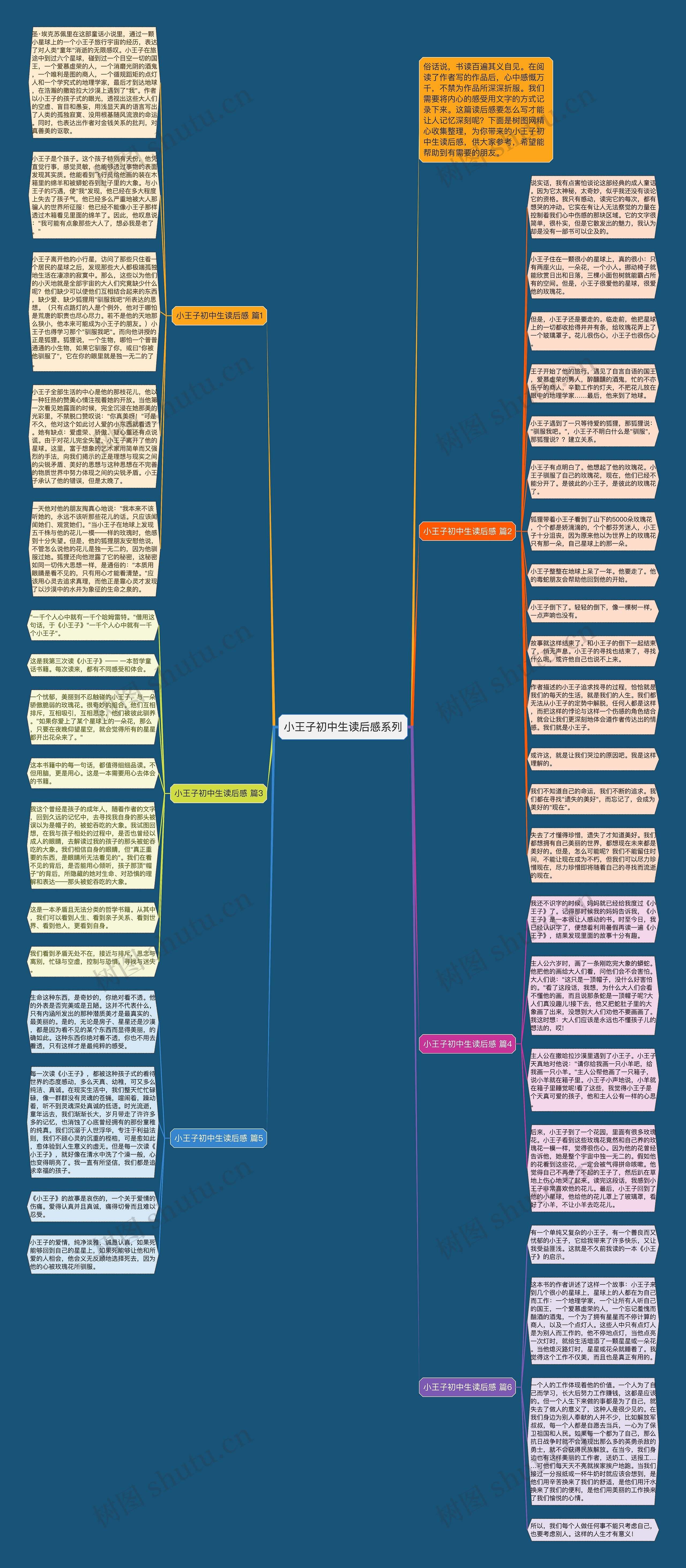 小王子初中生读后感系列