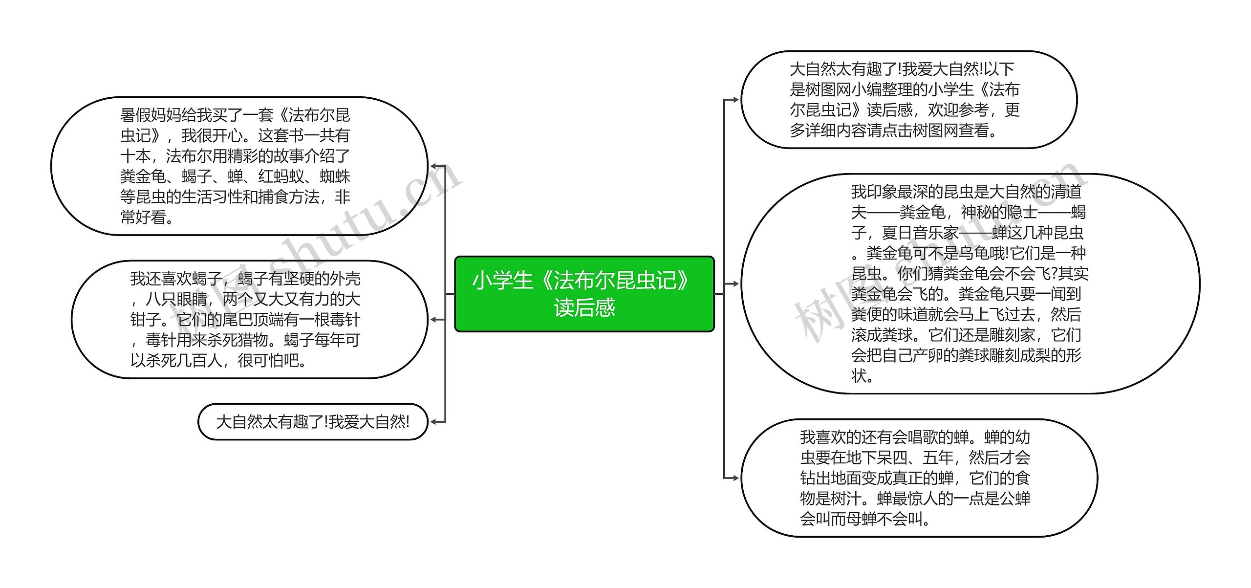 小学生《法布尔昆虫记》读后感思维导图