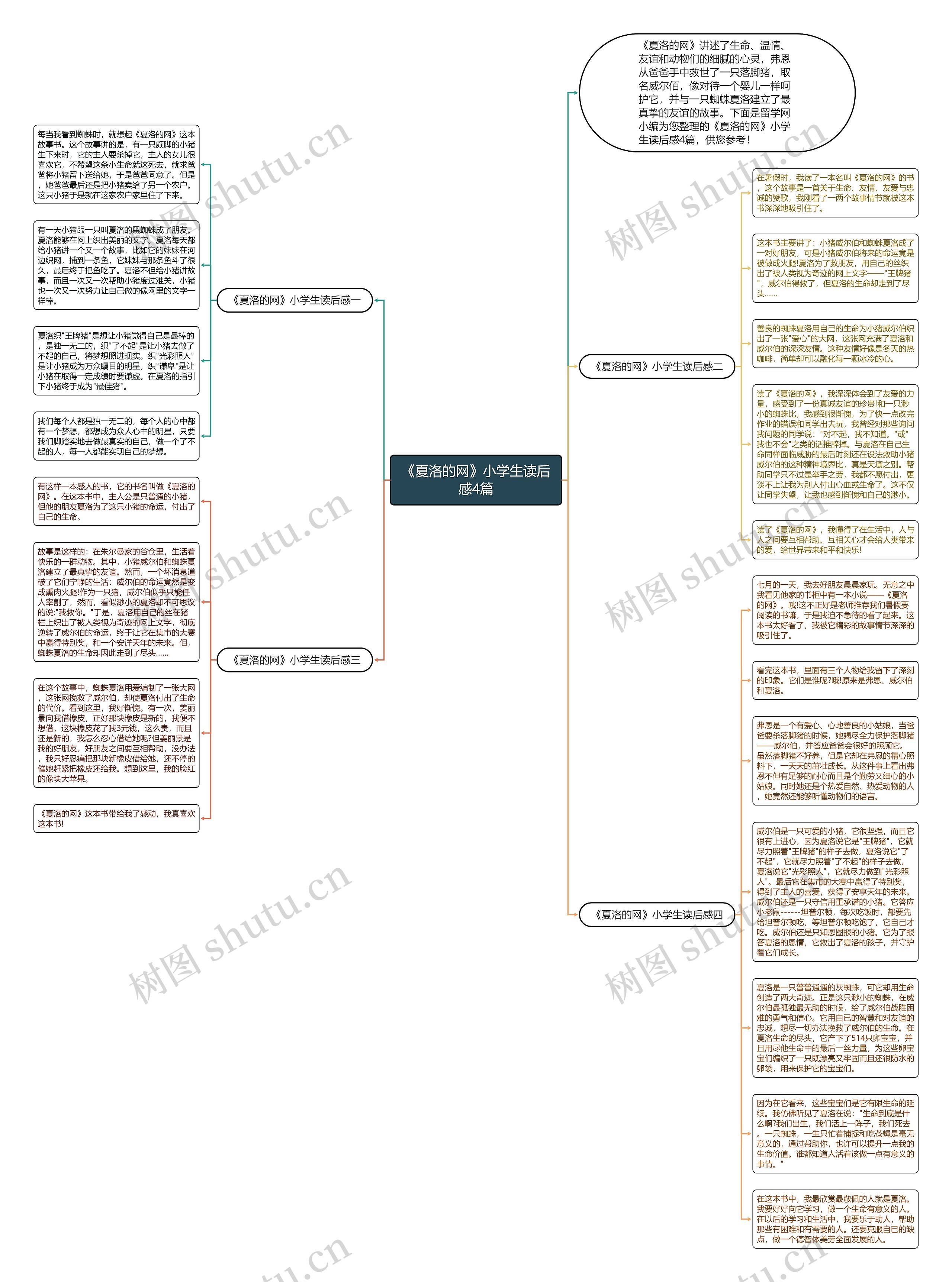 《夏洛的网》小学生读后感4篇思维导图