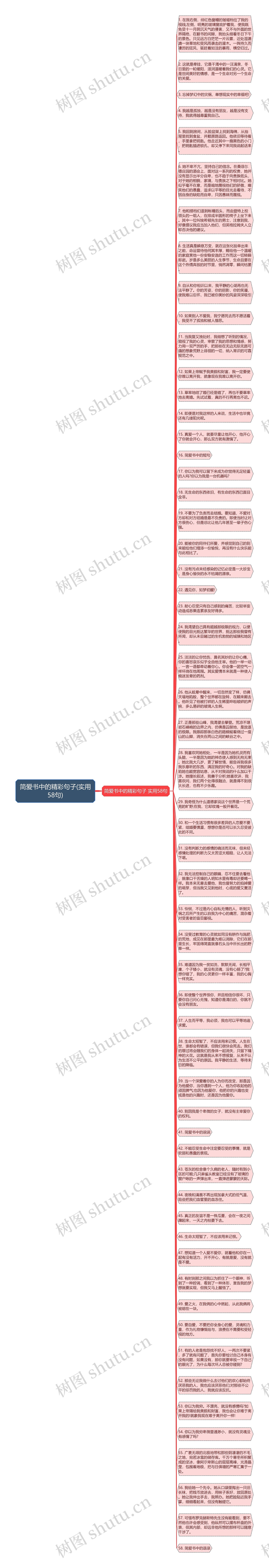 简爱书中的精彩句子(实用58句)思维导图