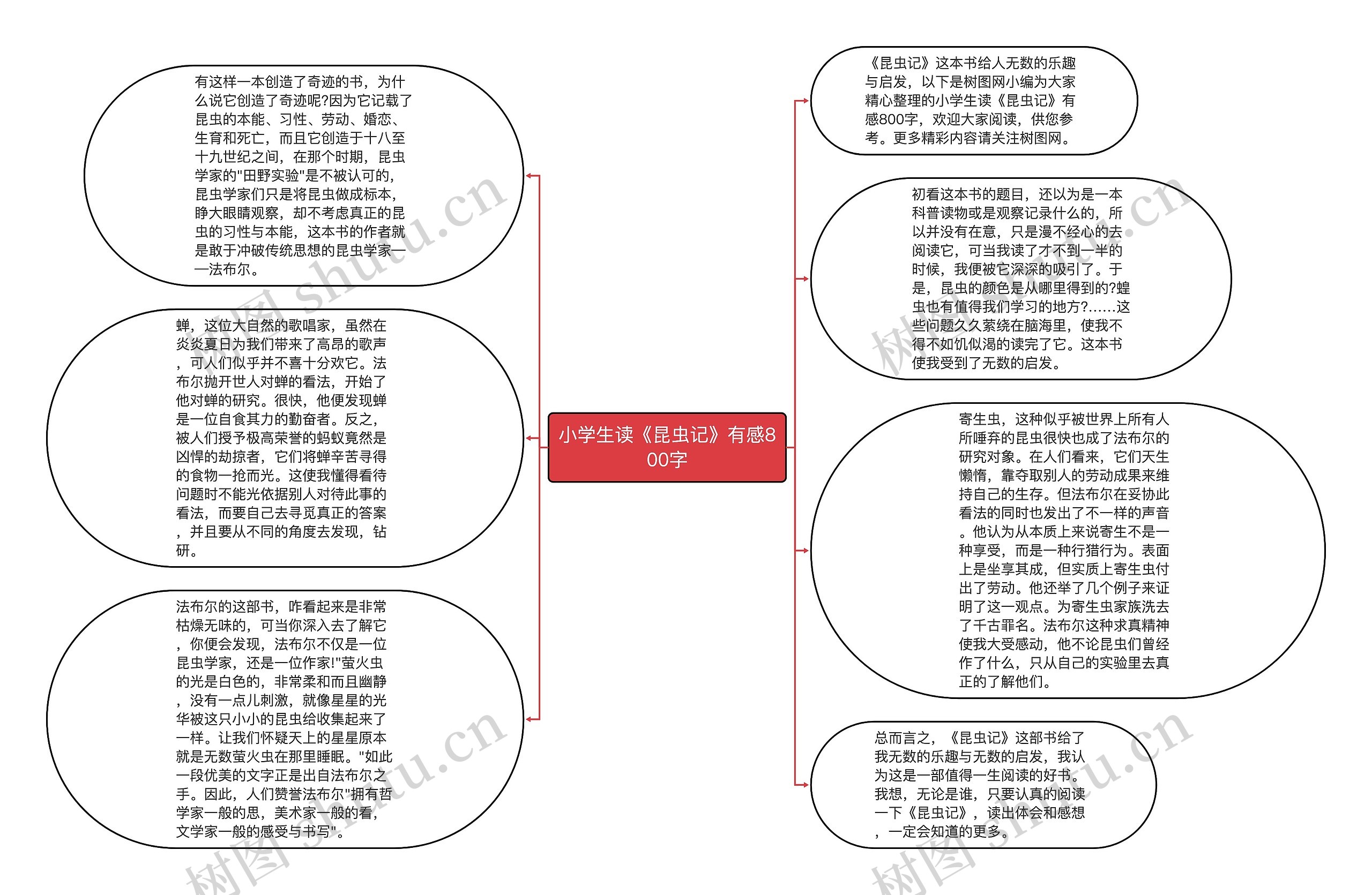 小学生读《昆虫记》有感800字思维导图