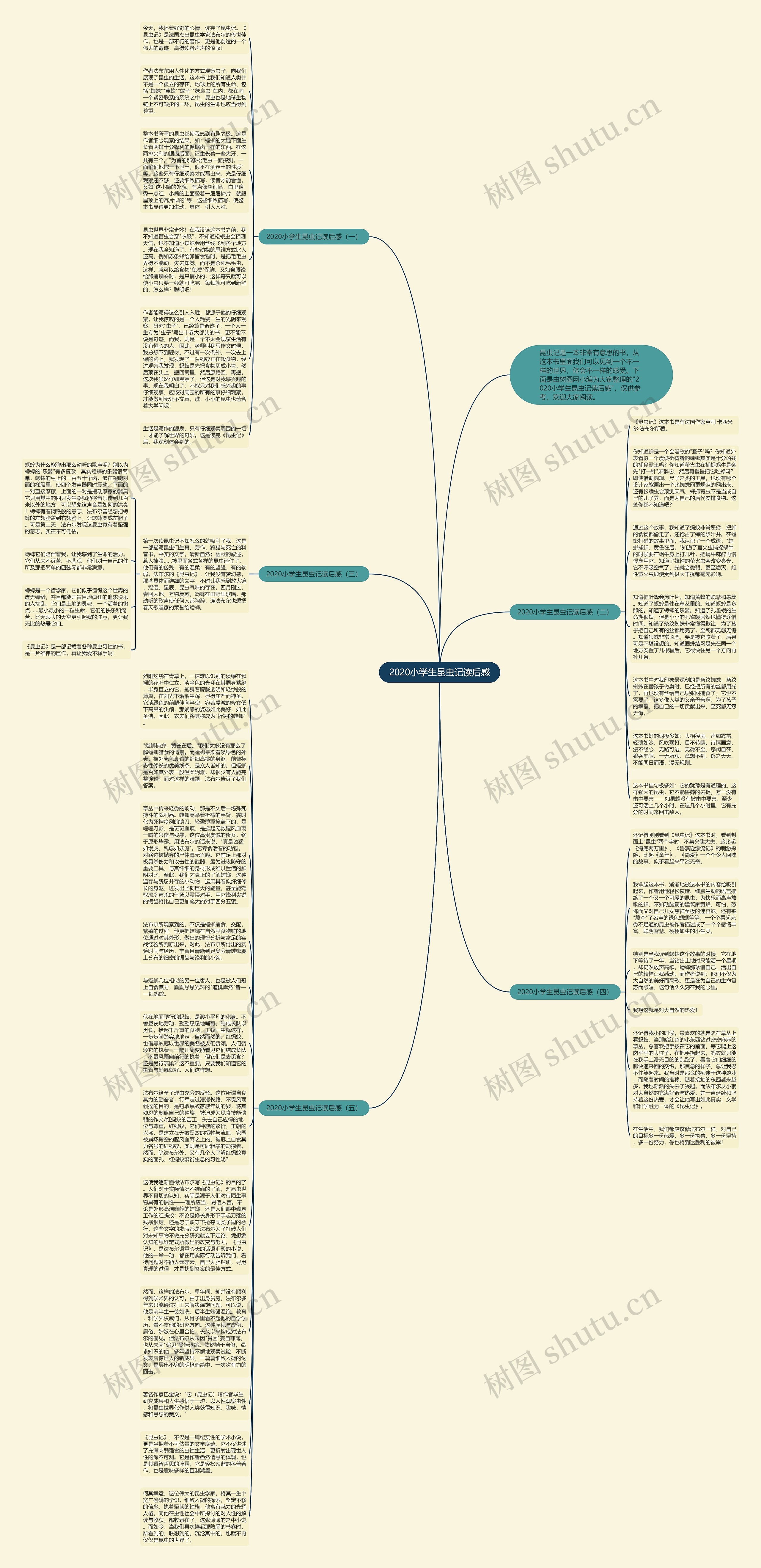 2020小学生昆虫记读后感思维导图
