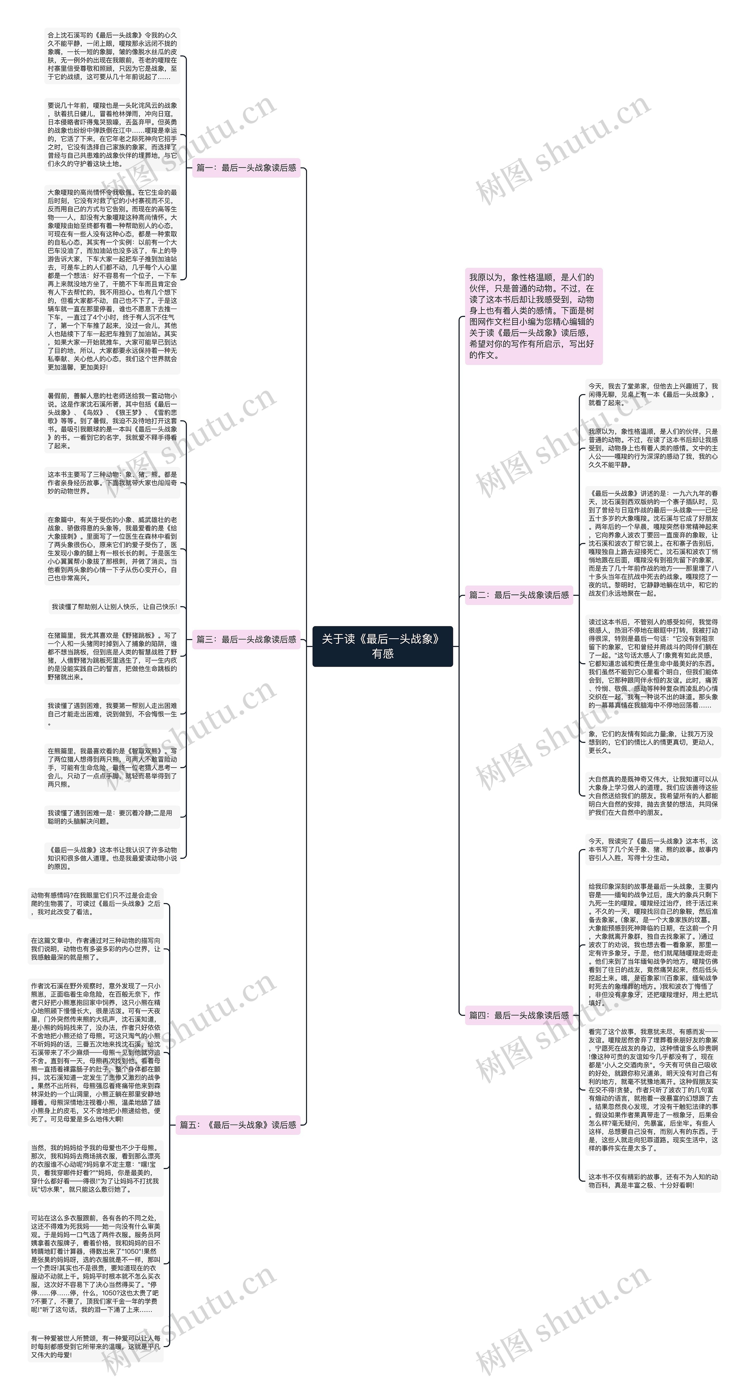 关于读《最后一头战象》有感思维导图