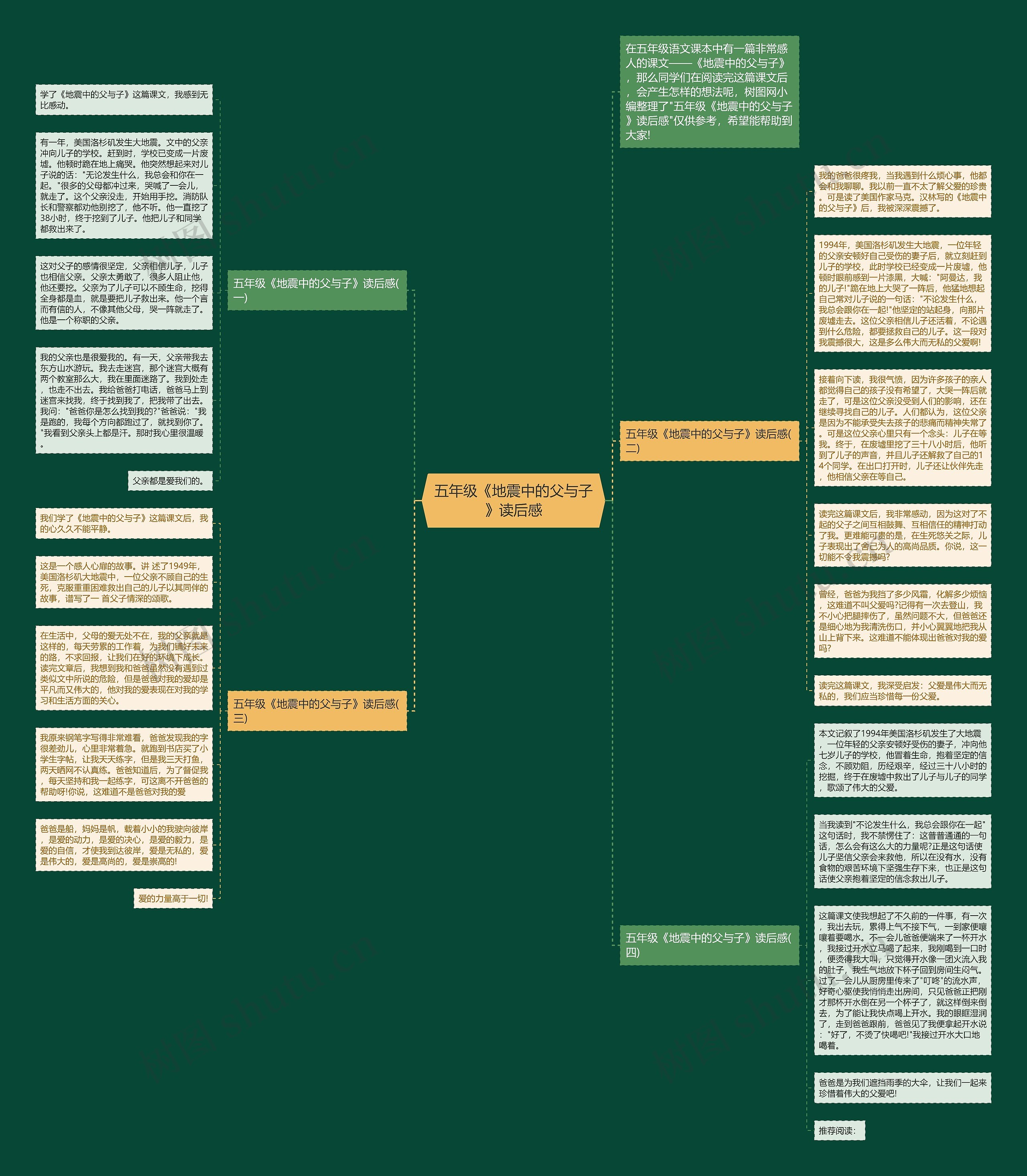 五年级《地震中的父与子》读后感思维导图