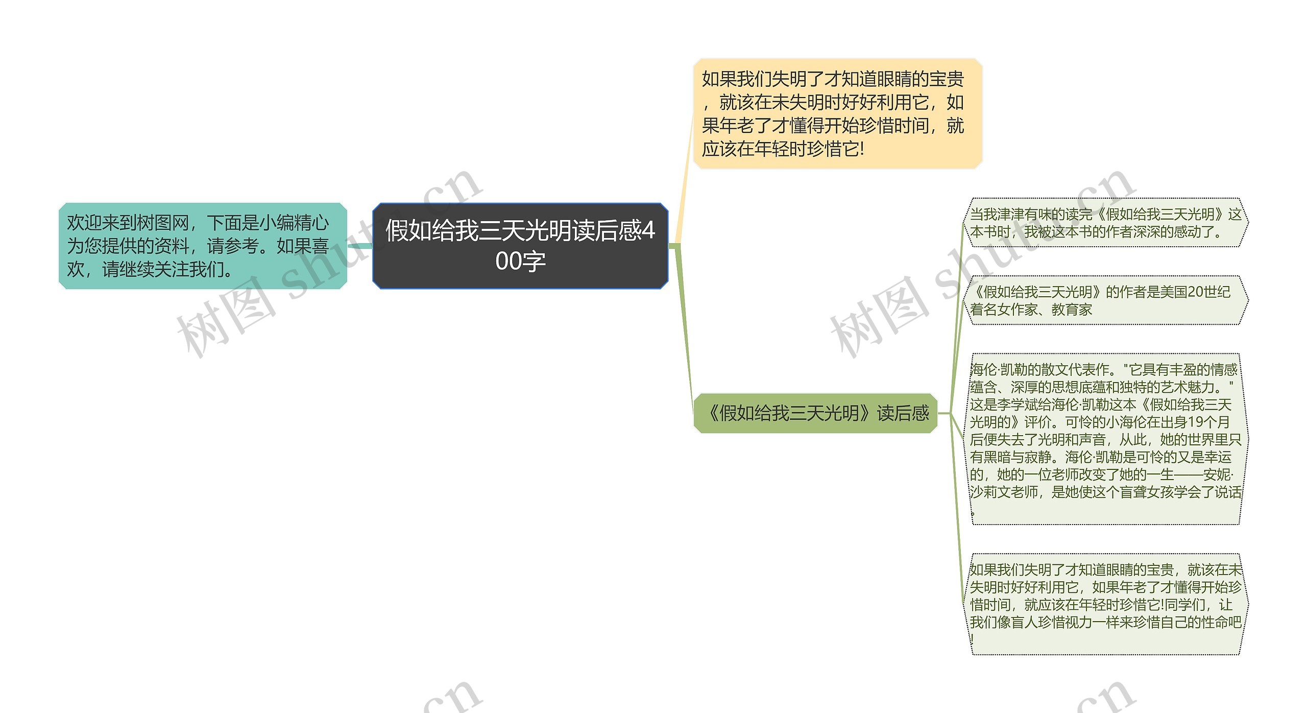 假如给我三天光明读后感400字