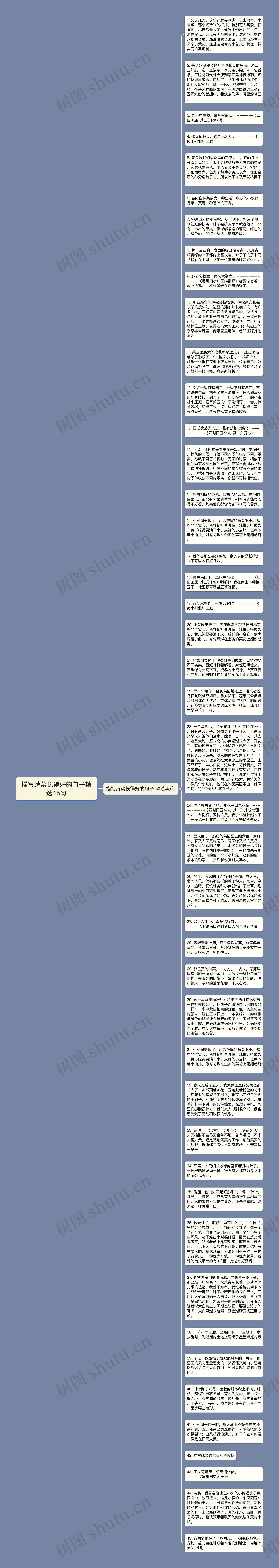 描写蔬菜长得好的句子精选45句