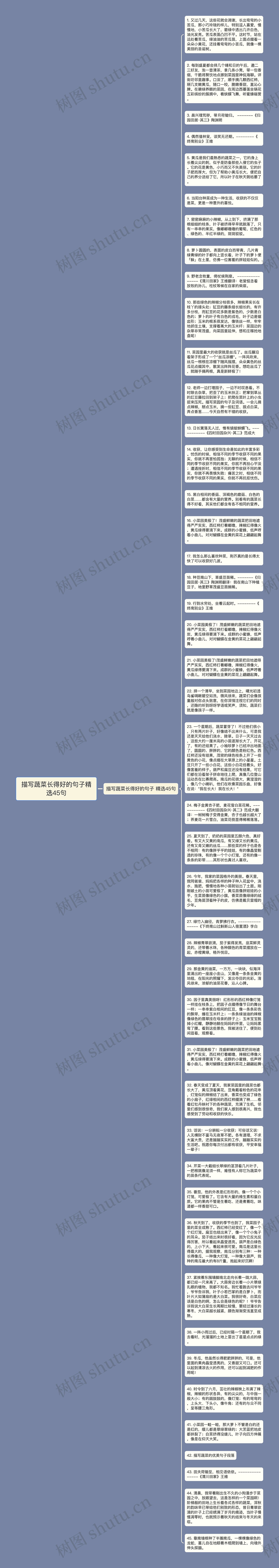 描写蔬菜长得好的句子精选45句思维导图