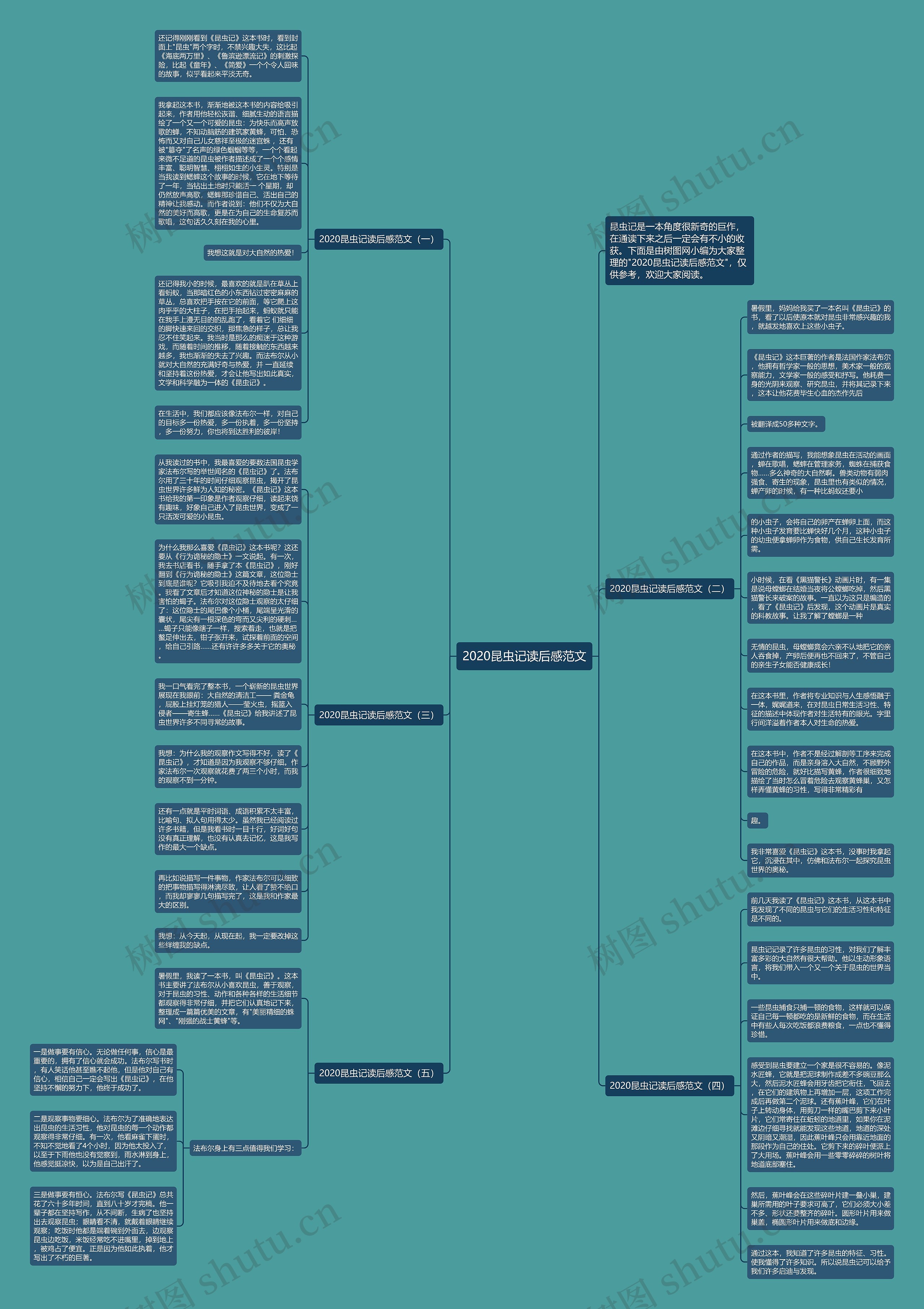 2020昆虫记读后感范文思维导图