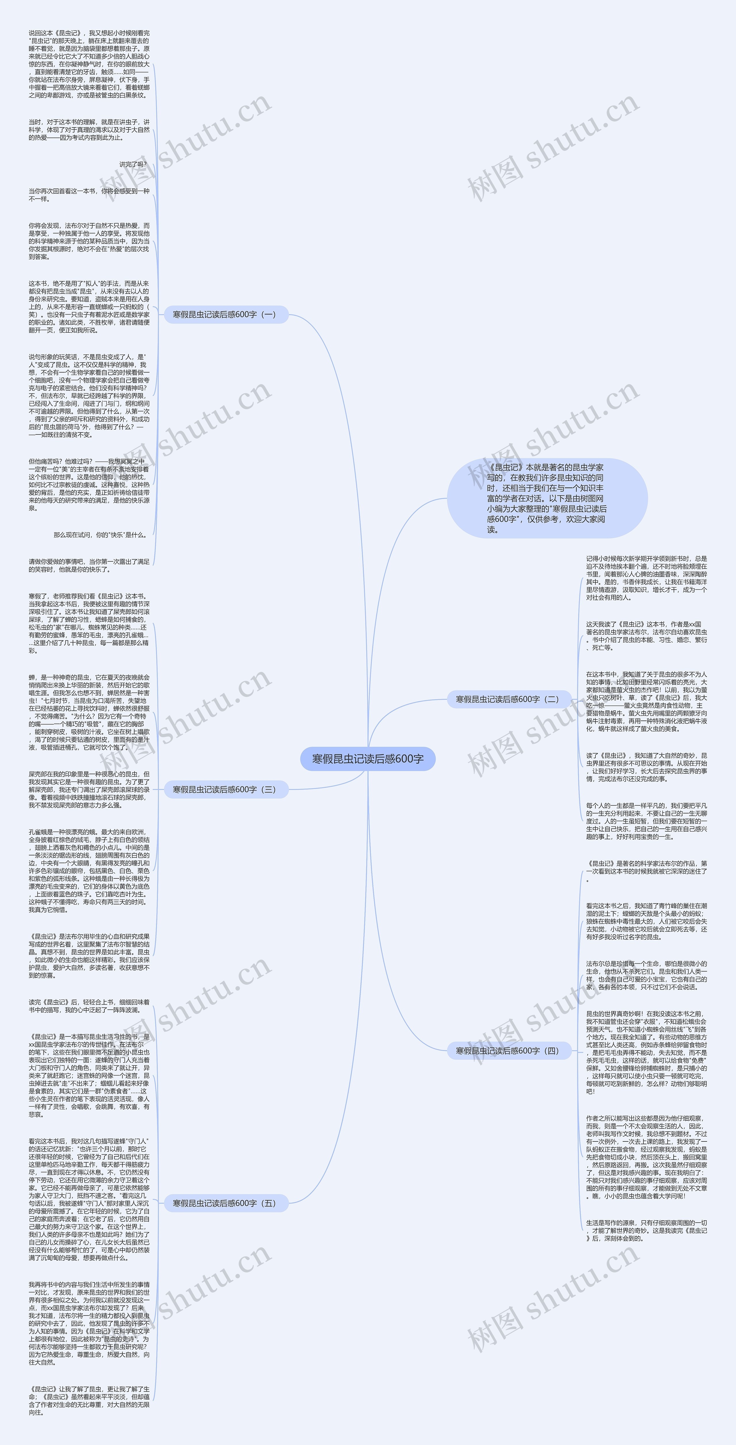 寒假昆虫记读后感600字思维导图