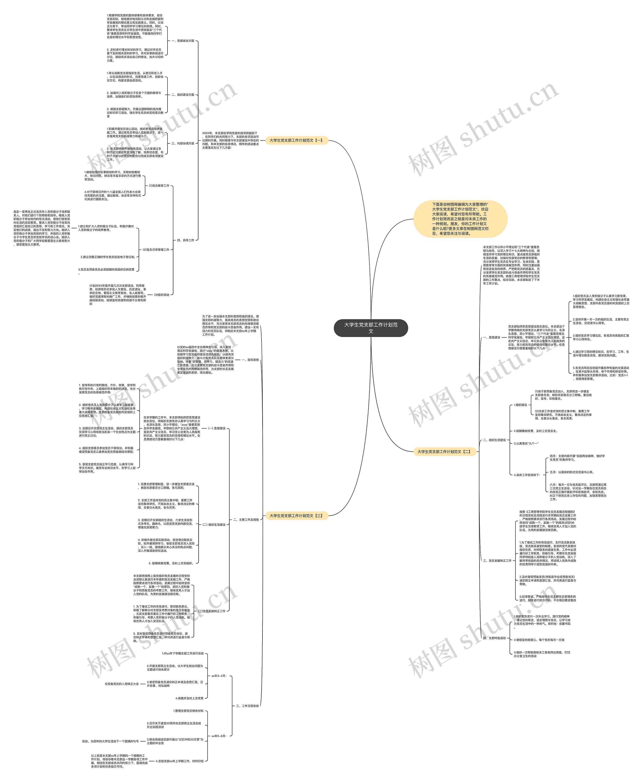 大学生党支部工作计划范文思维导图