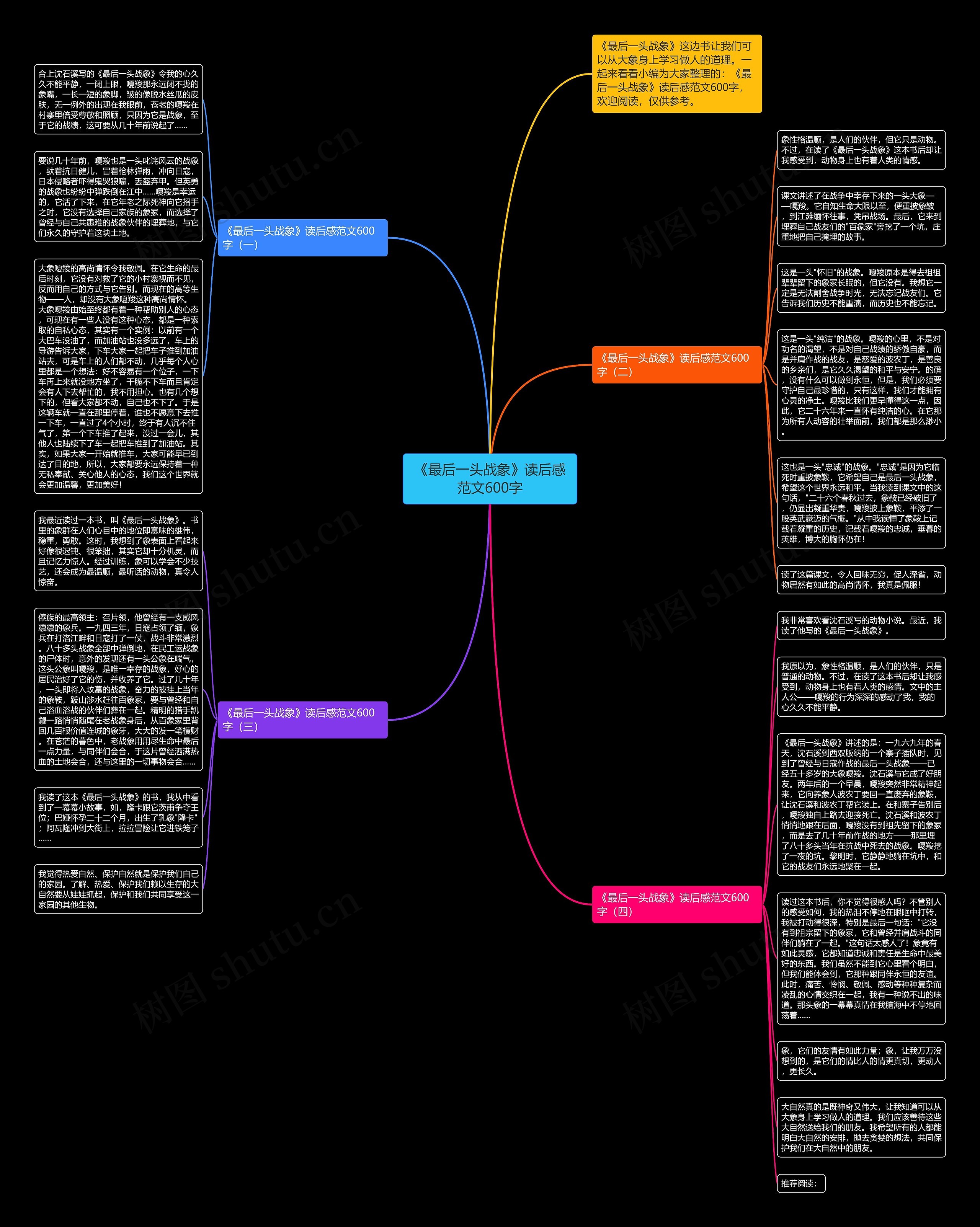 《最后一头战象》读后感范文600字思维导图