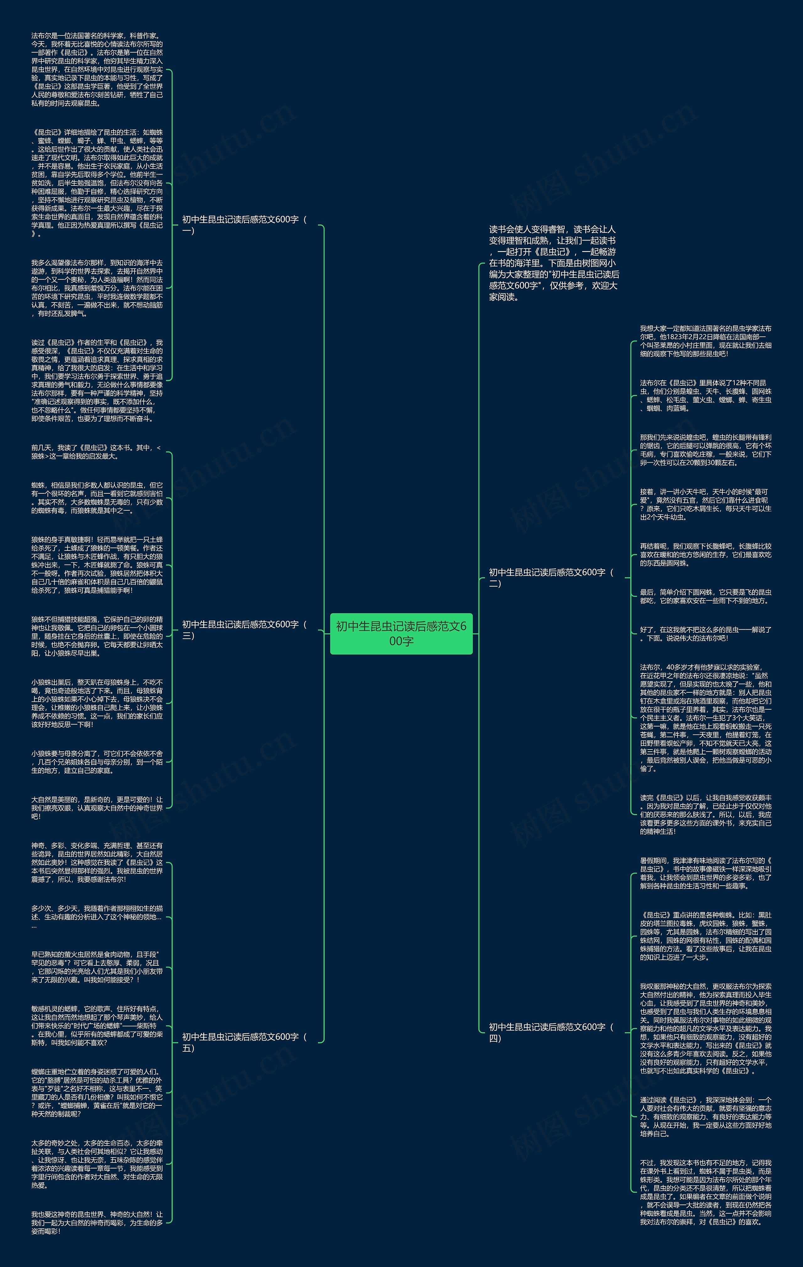 初中生昆虫记读后感范文600字思维导图