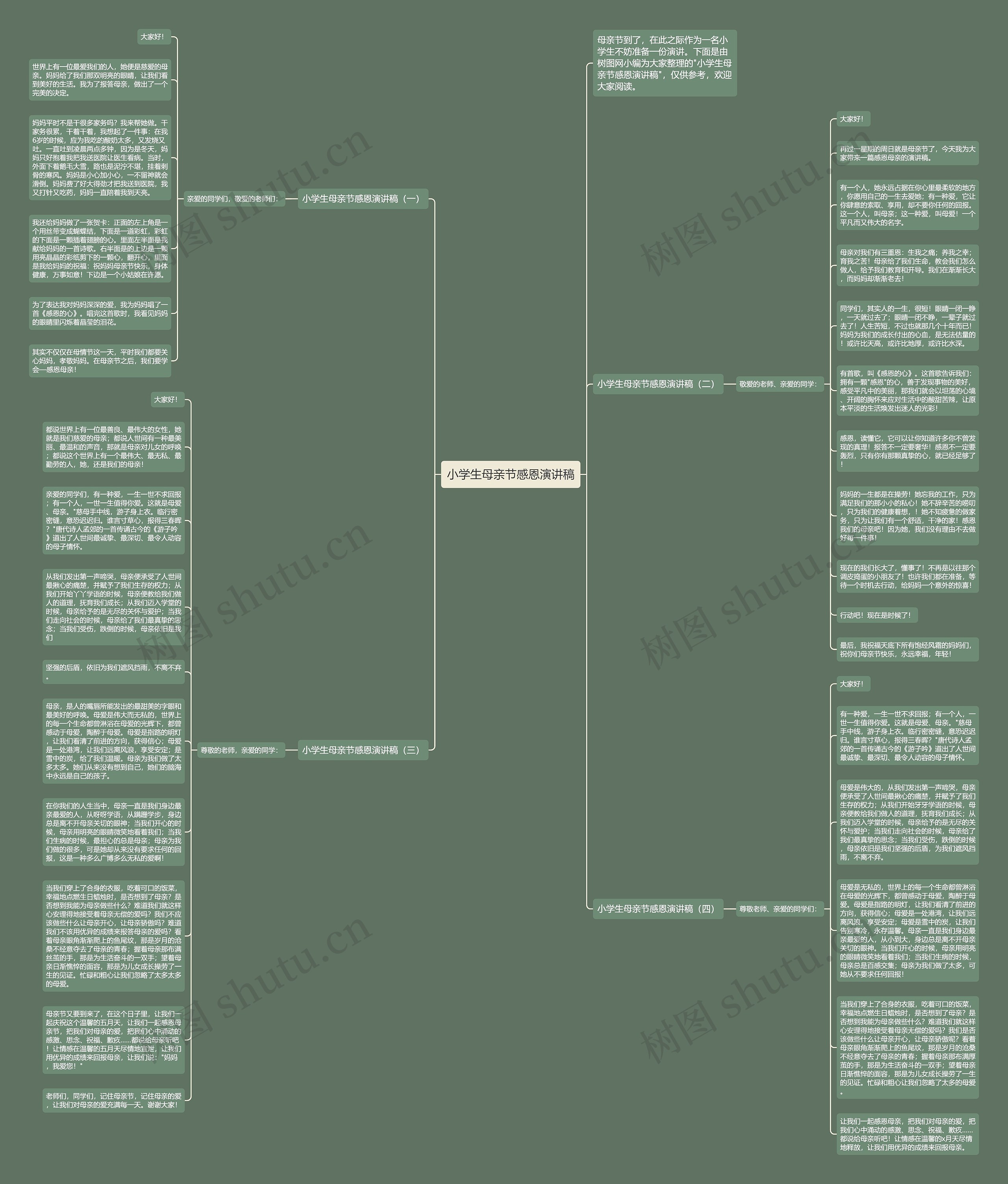 小学生母亲节感恩演讲稿思维导图