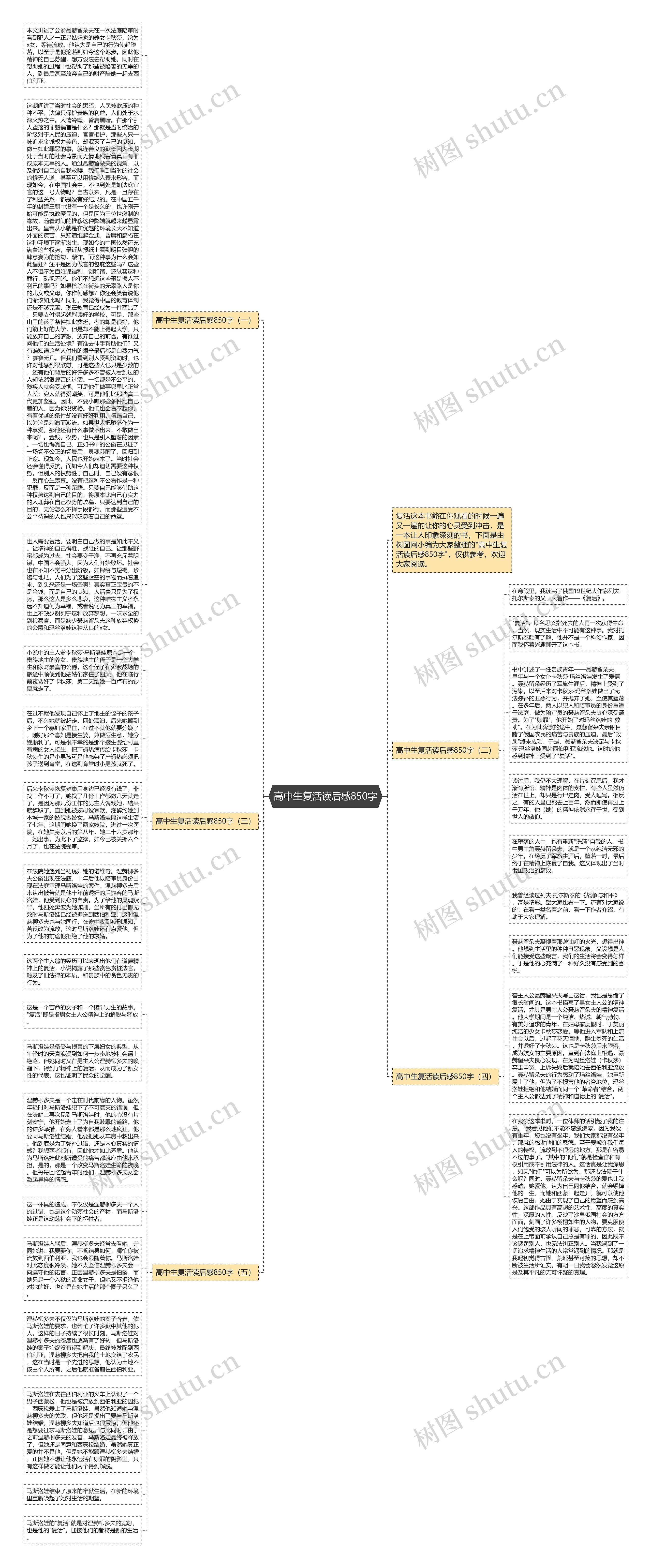 高中生复活读后感850字思维导图