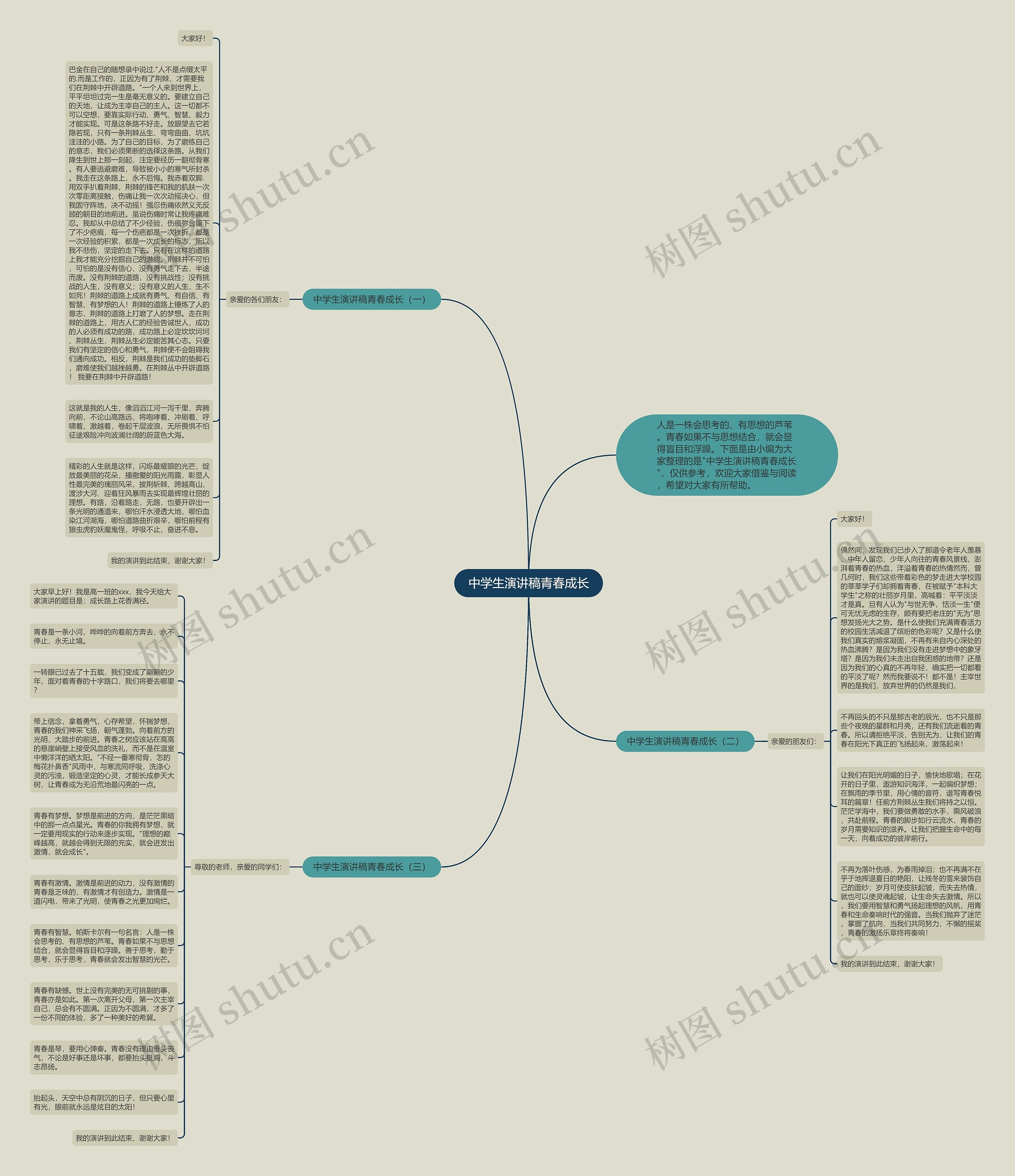 中学生演讲稿青春成长思维导图