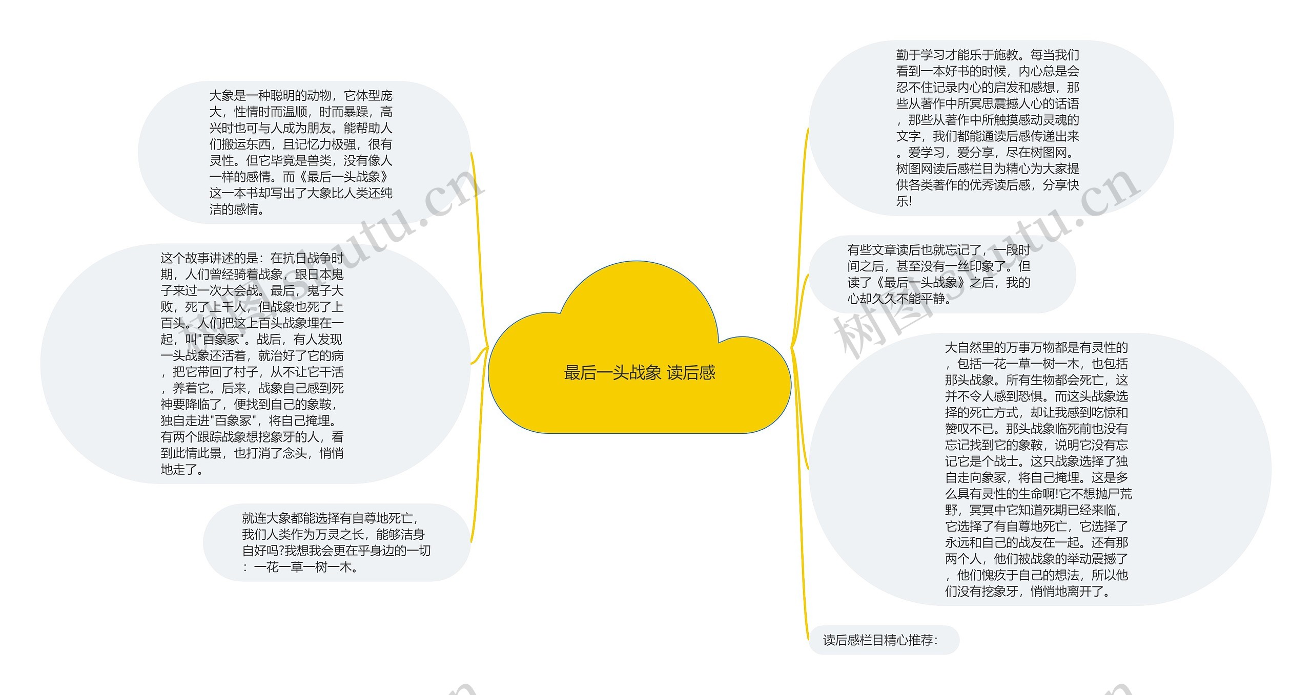 最后一头战象 读后感思维导图