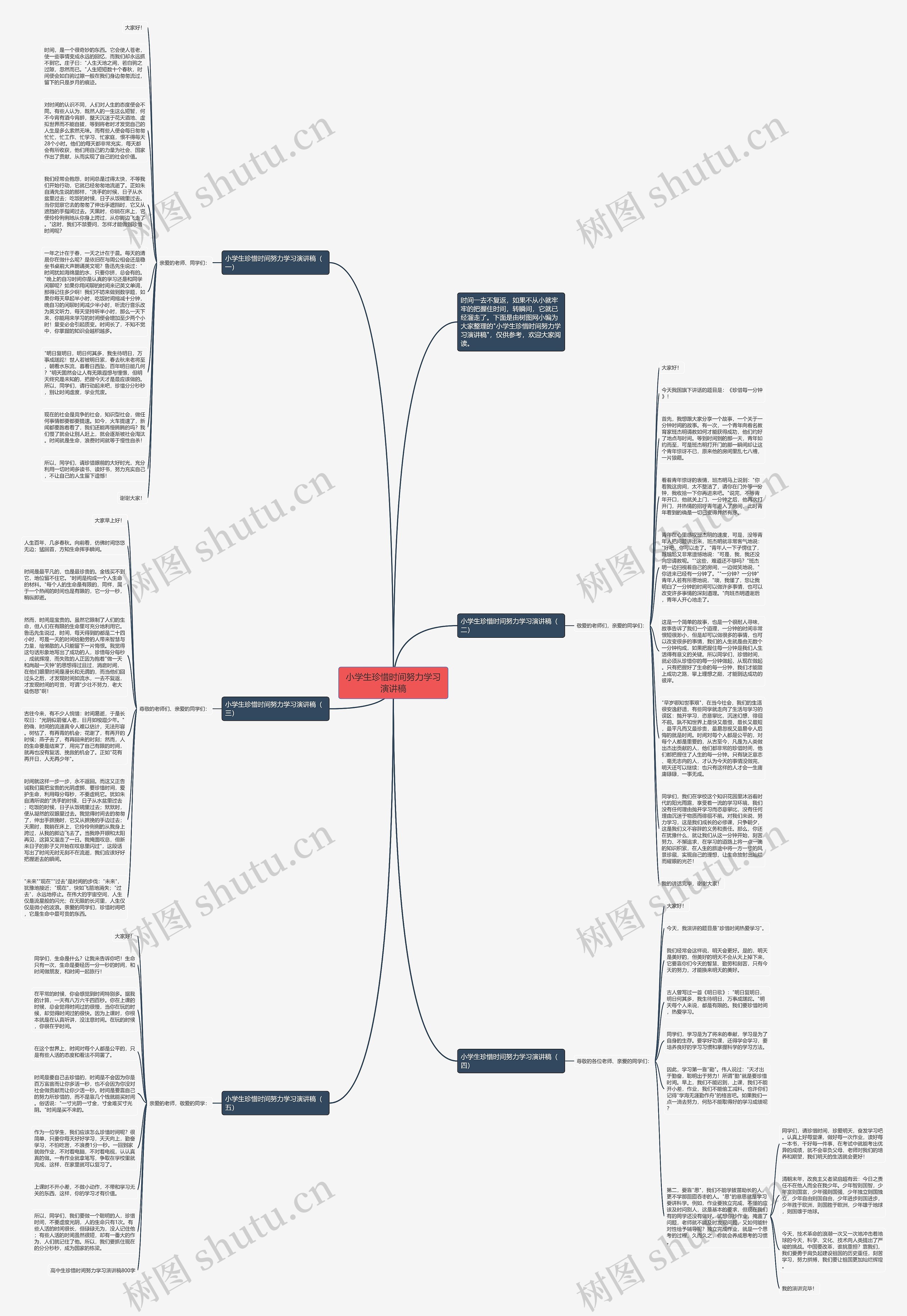 小学生珍惜时间努力学习演讲稿思维导图