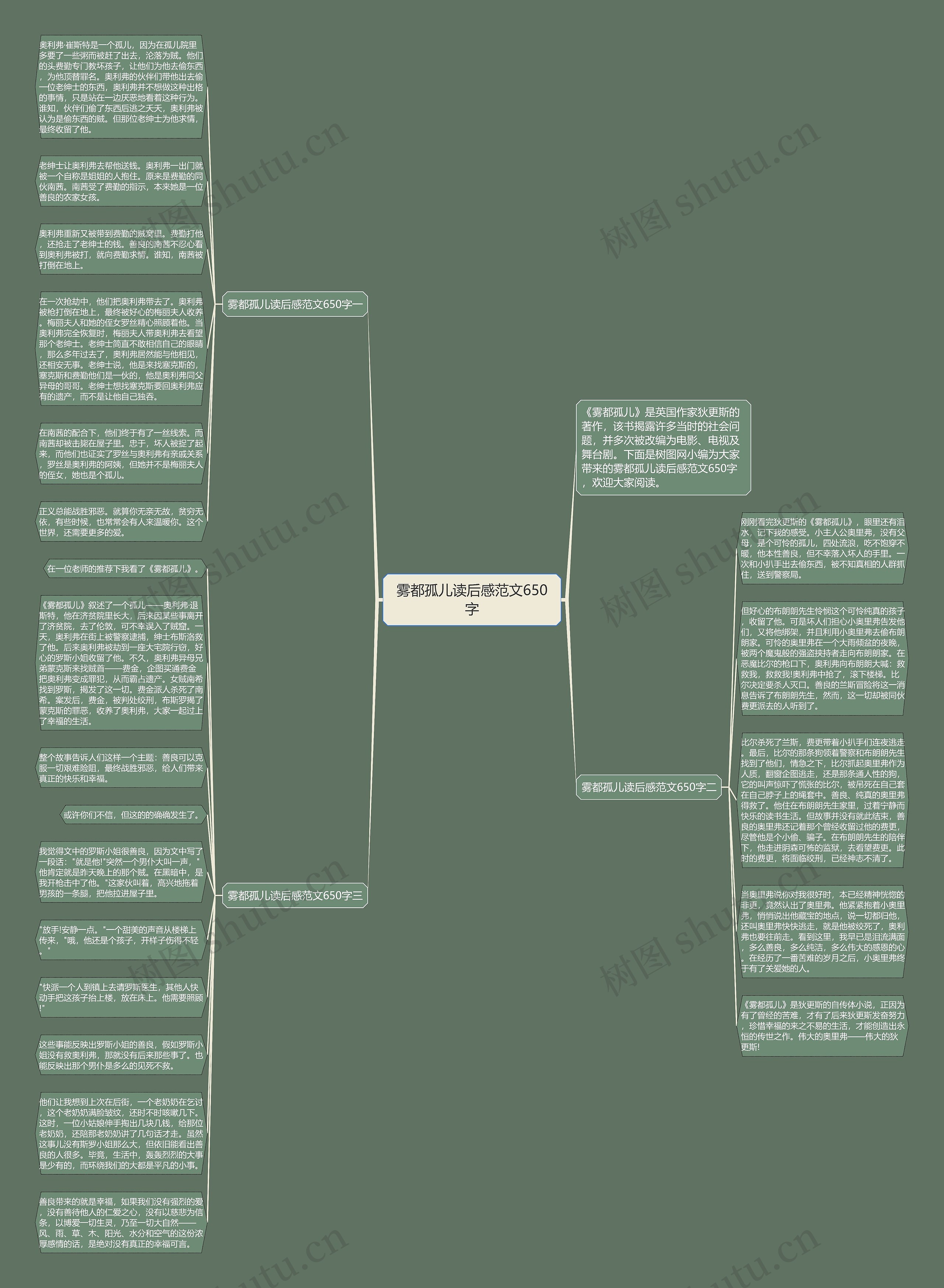 雾都孤儿读后感范文650字思维导图