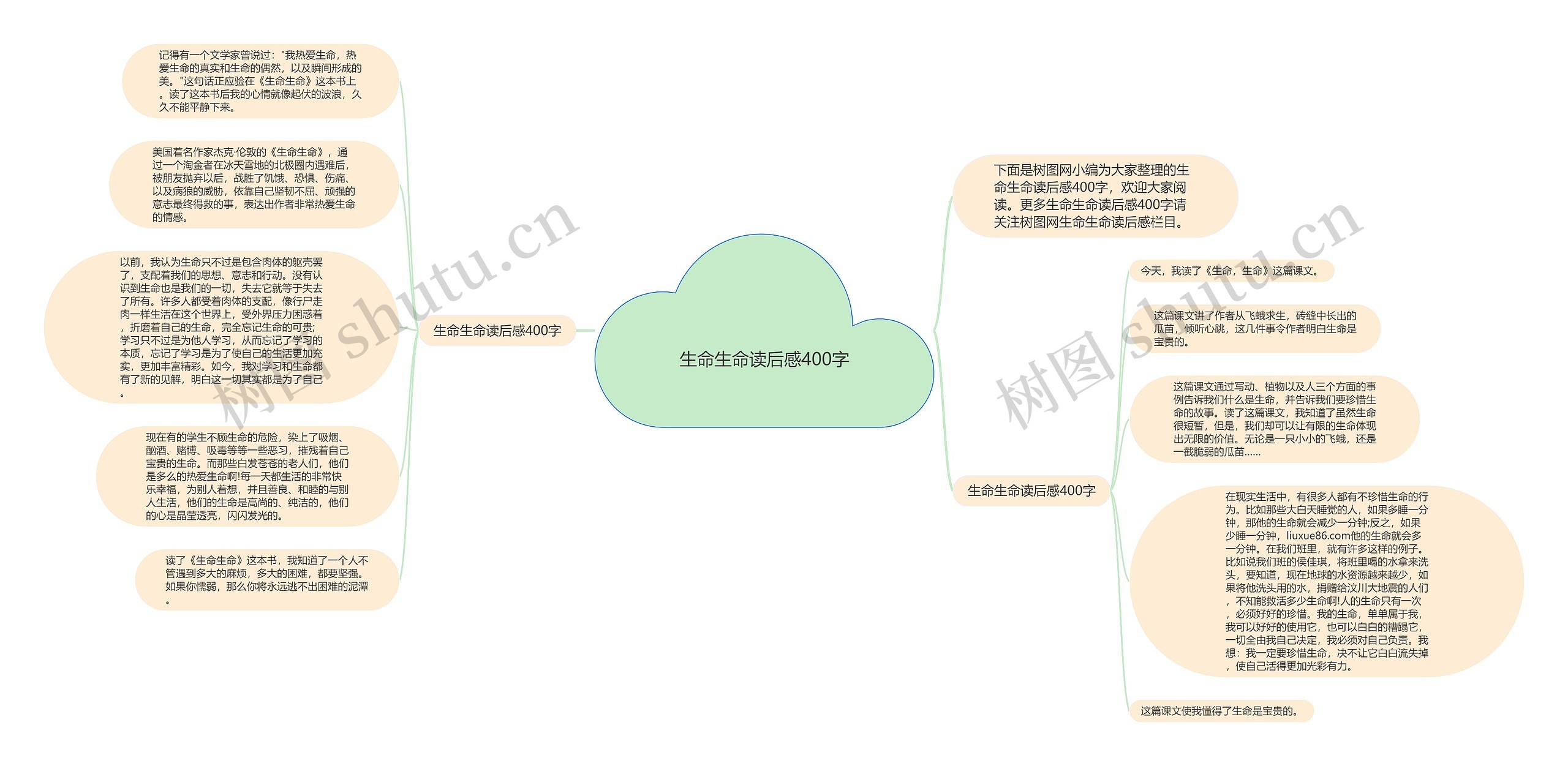 生命生命读后感400字