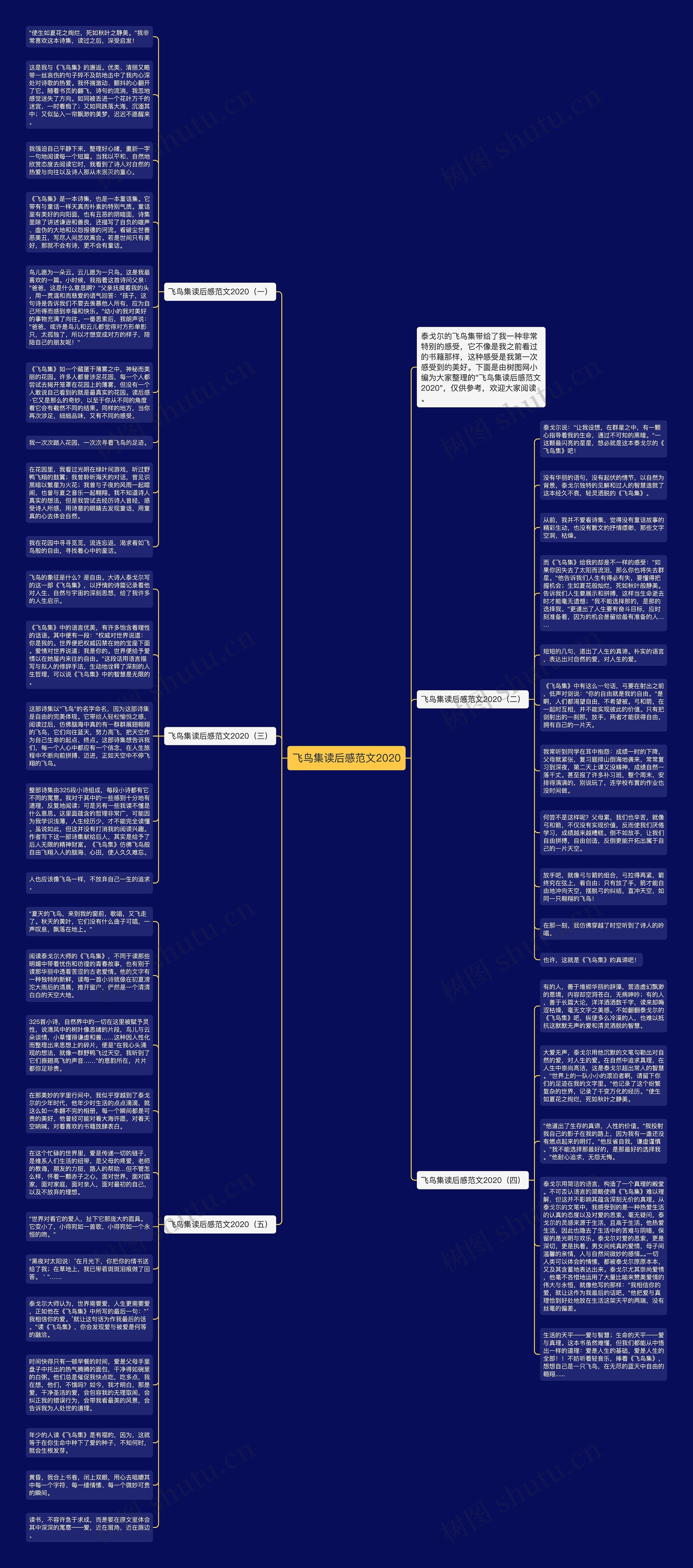 飞鸟集读后感范文2020思维导图