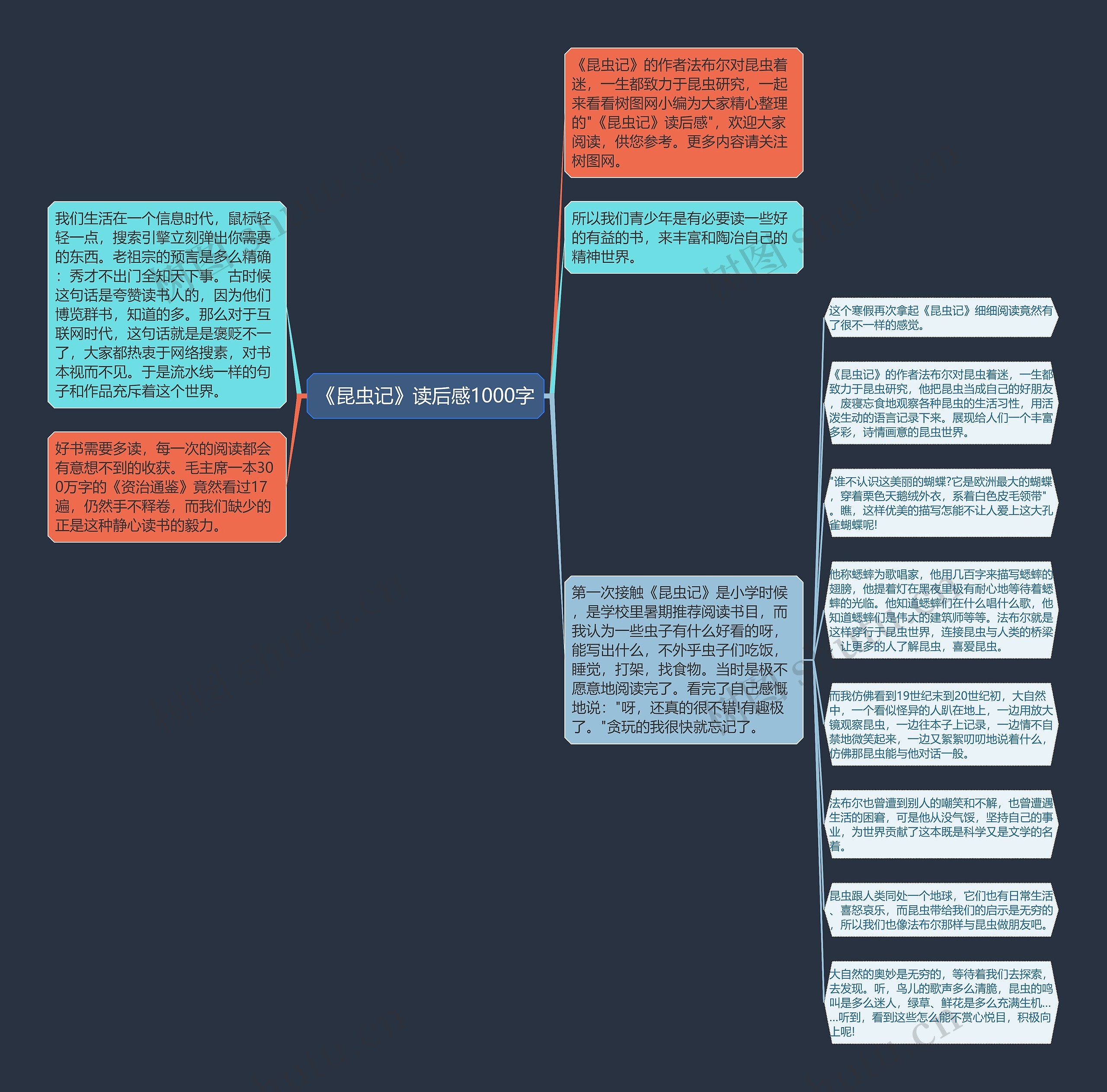 《昆虫记》读后感1000字