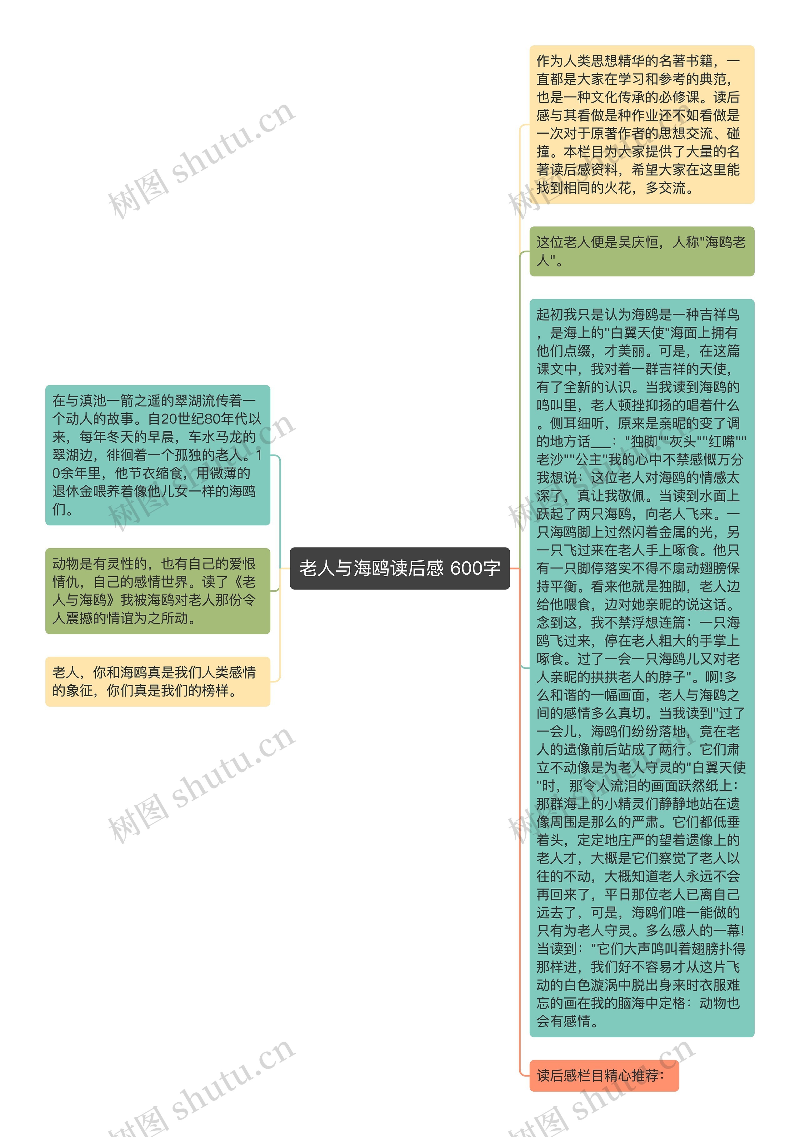 老人与海鸥读后感 600字思维导图