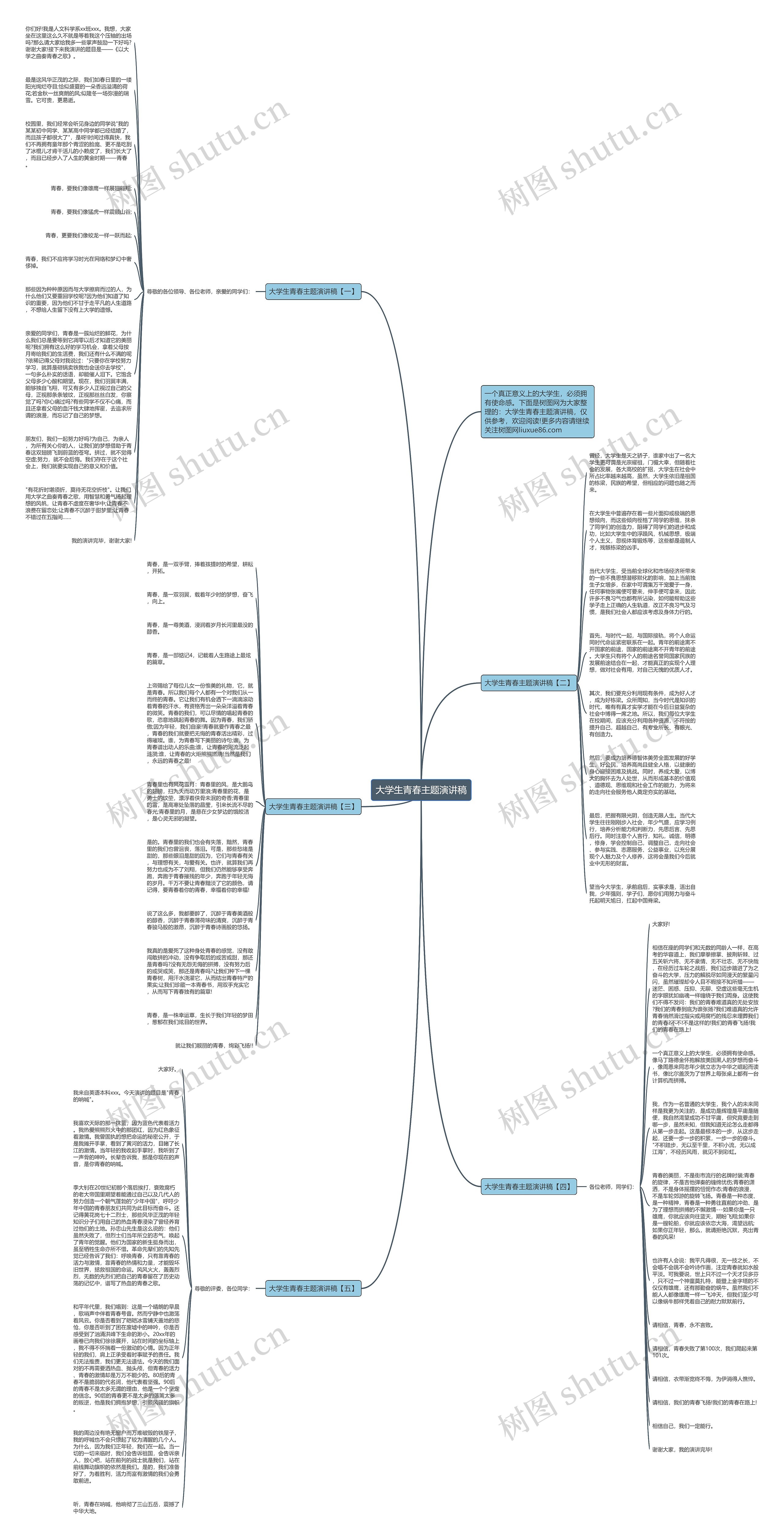 大学生青春主题演讲稿思维导图
