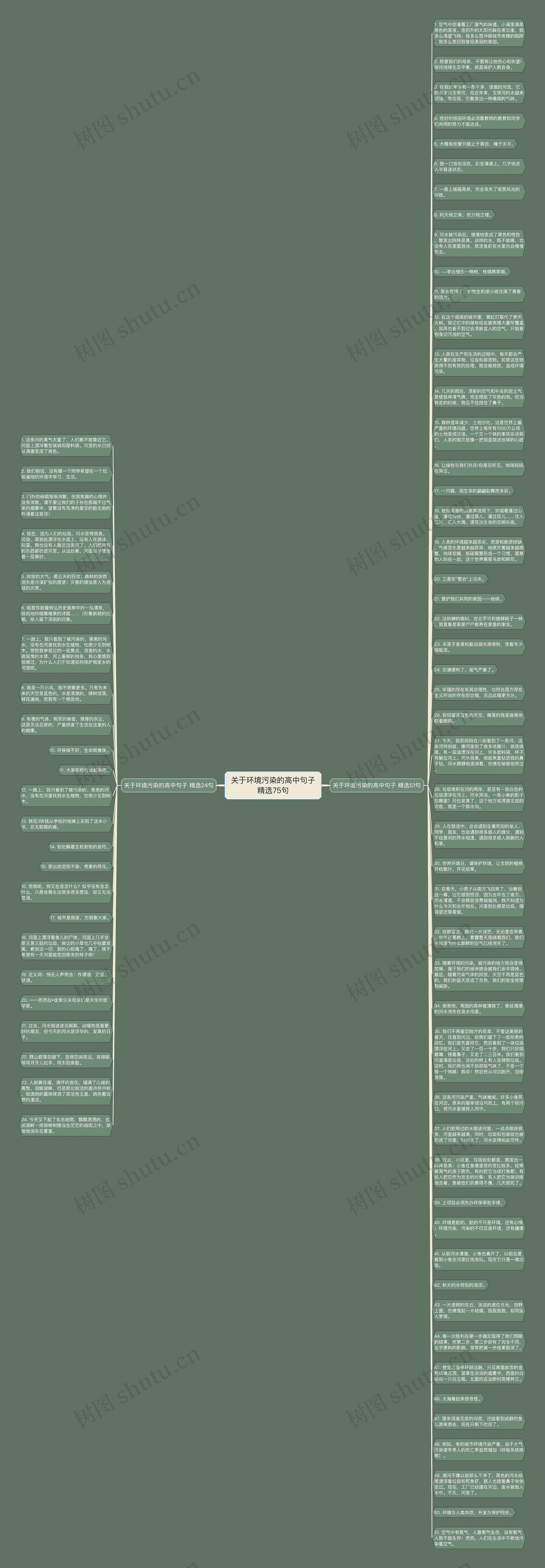 关于环境污染的高中句子精选75句