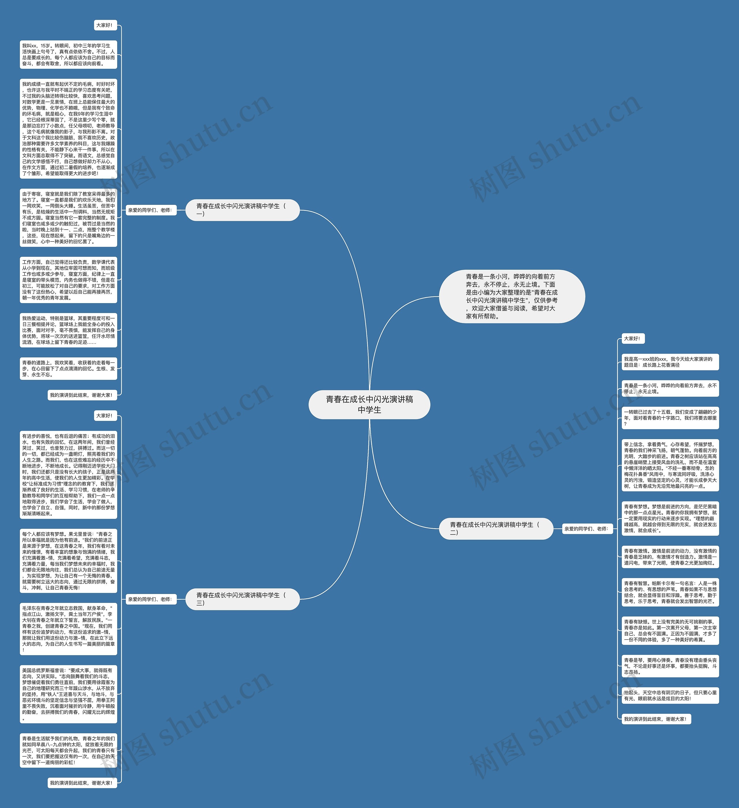 青春在成长中闪光演讲稿中学生思维导图