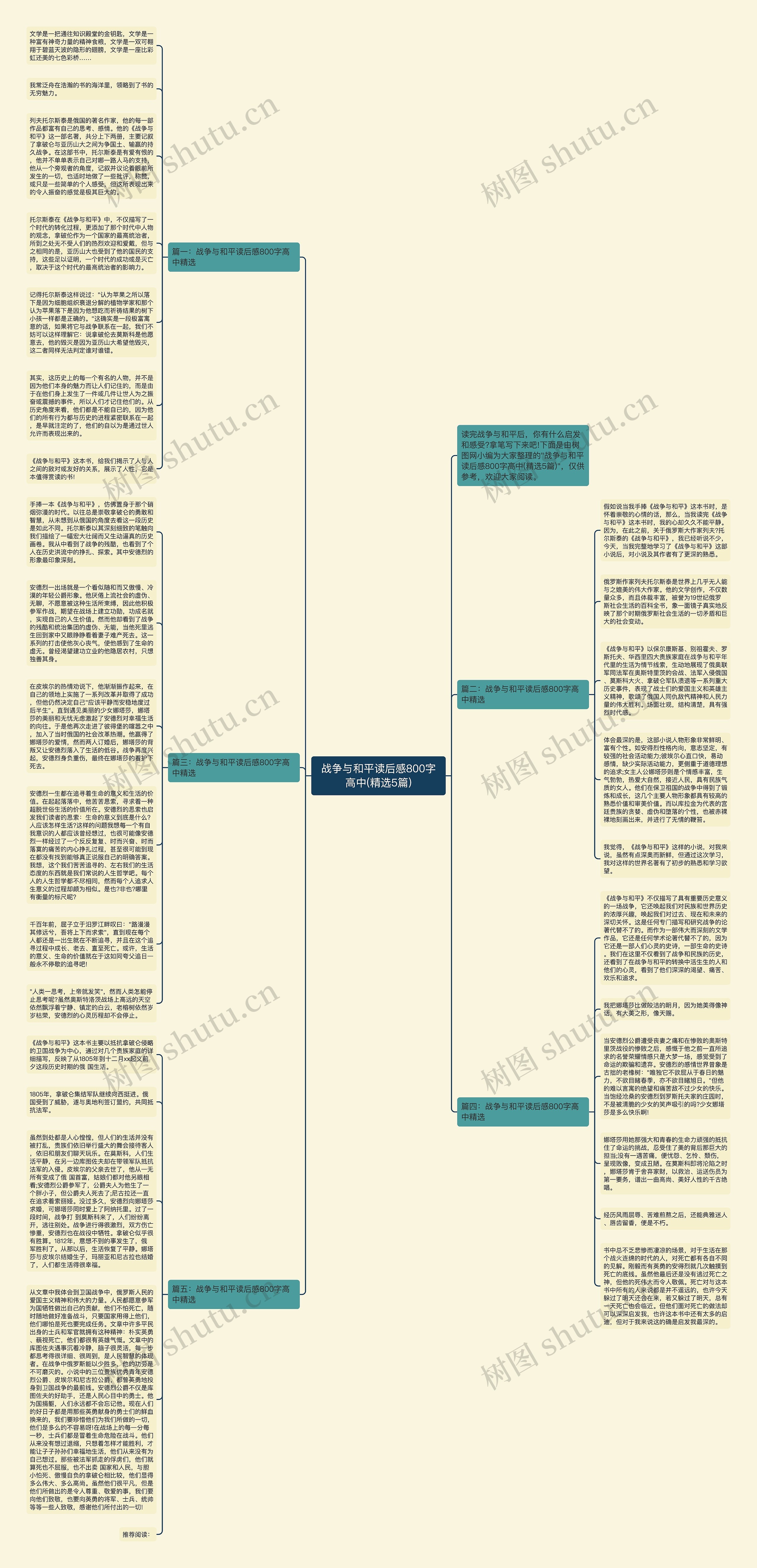 战争与和平读后感800字高中(精选5篇)思维导图