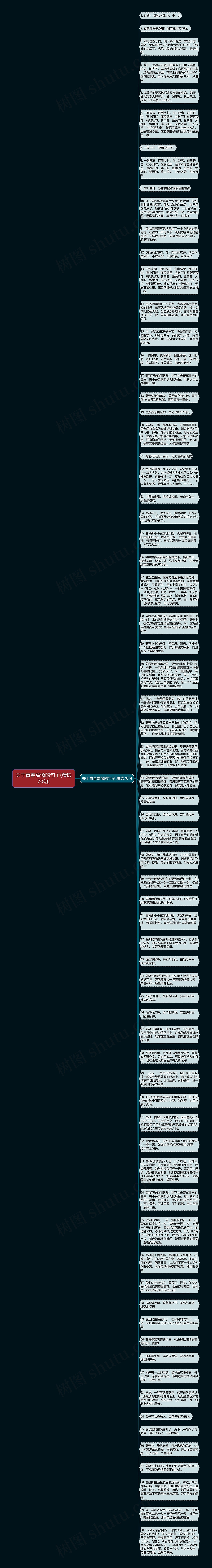 关于青春蔷薇的句子(精选70句)思维导图