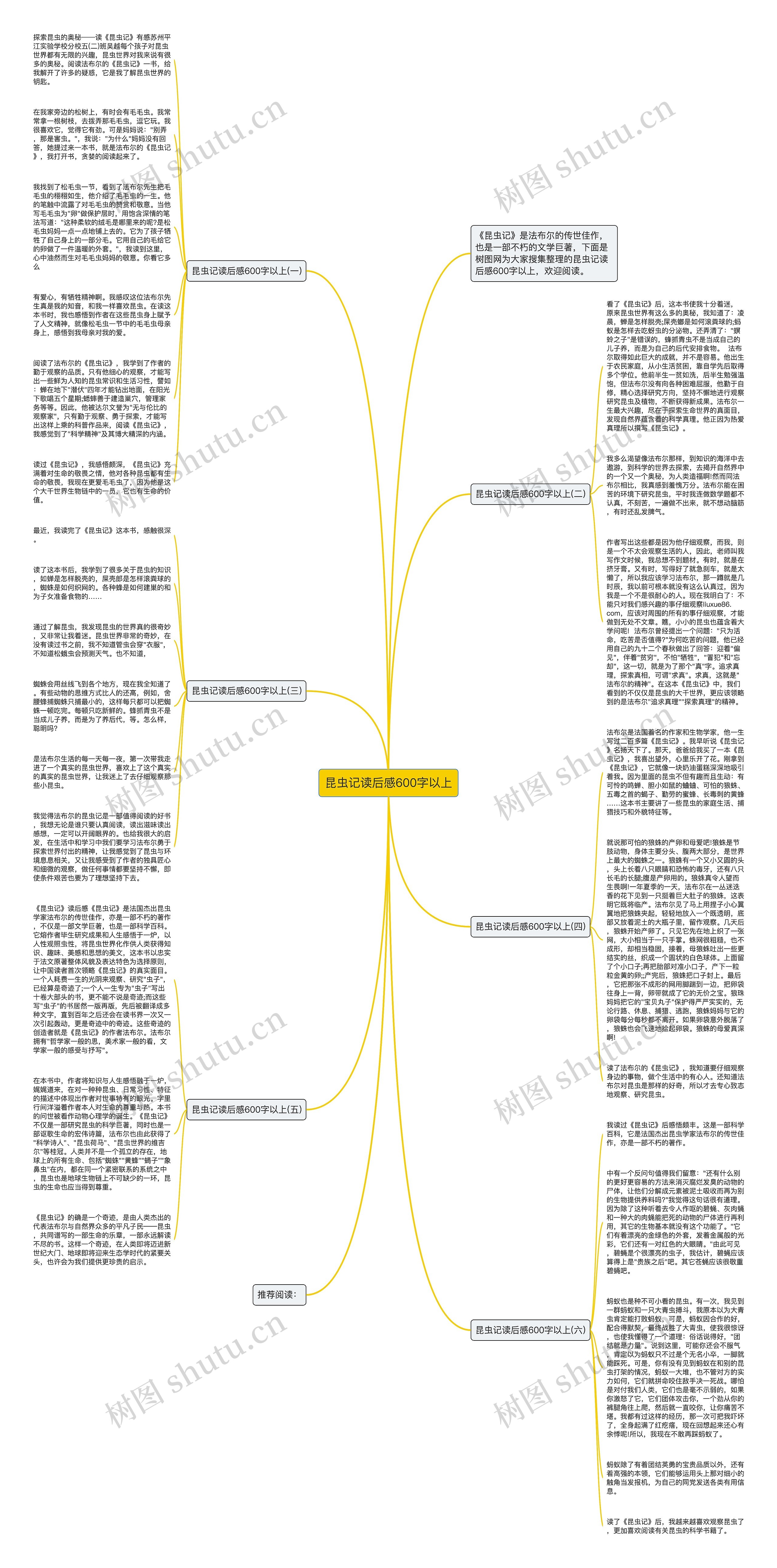 昆虫记读后感600字以上思维导图