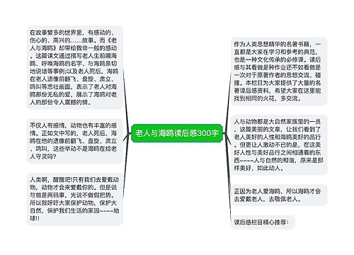 老人与海鸥读后感300字