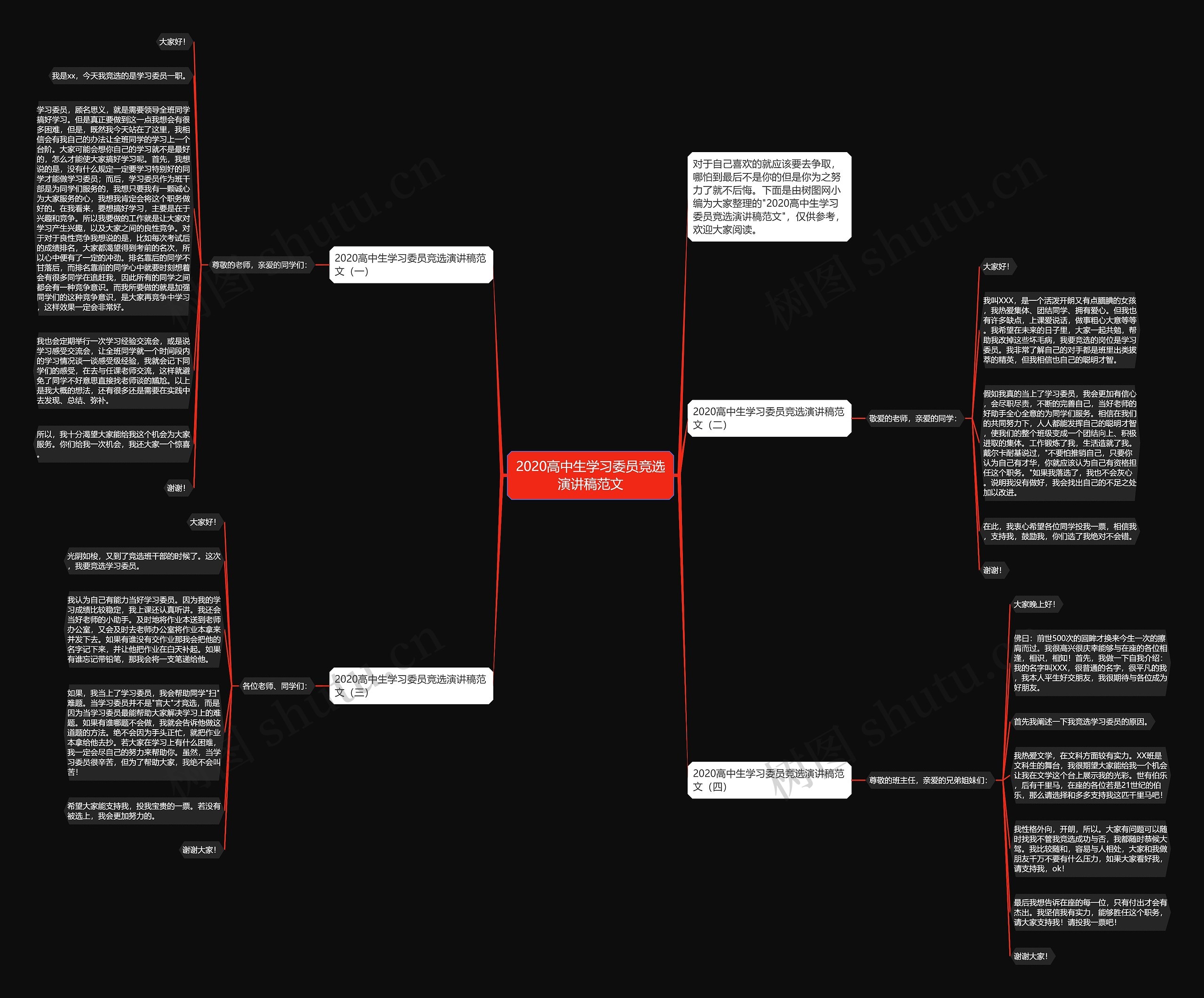 2020高中生学习委员竞选演讲稿范文思维导图