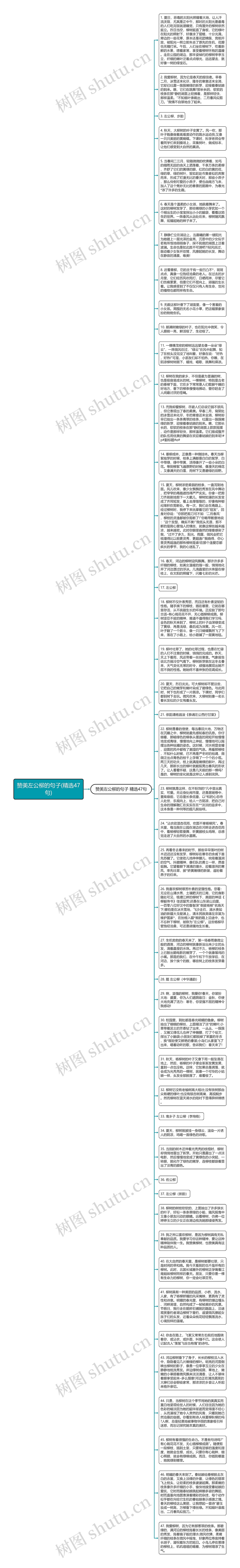 赞美左公柳的句子(精选47句)思维导图