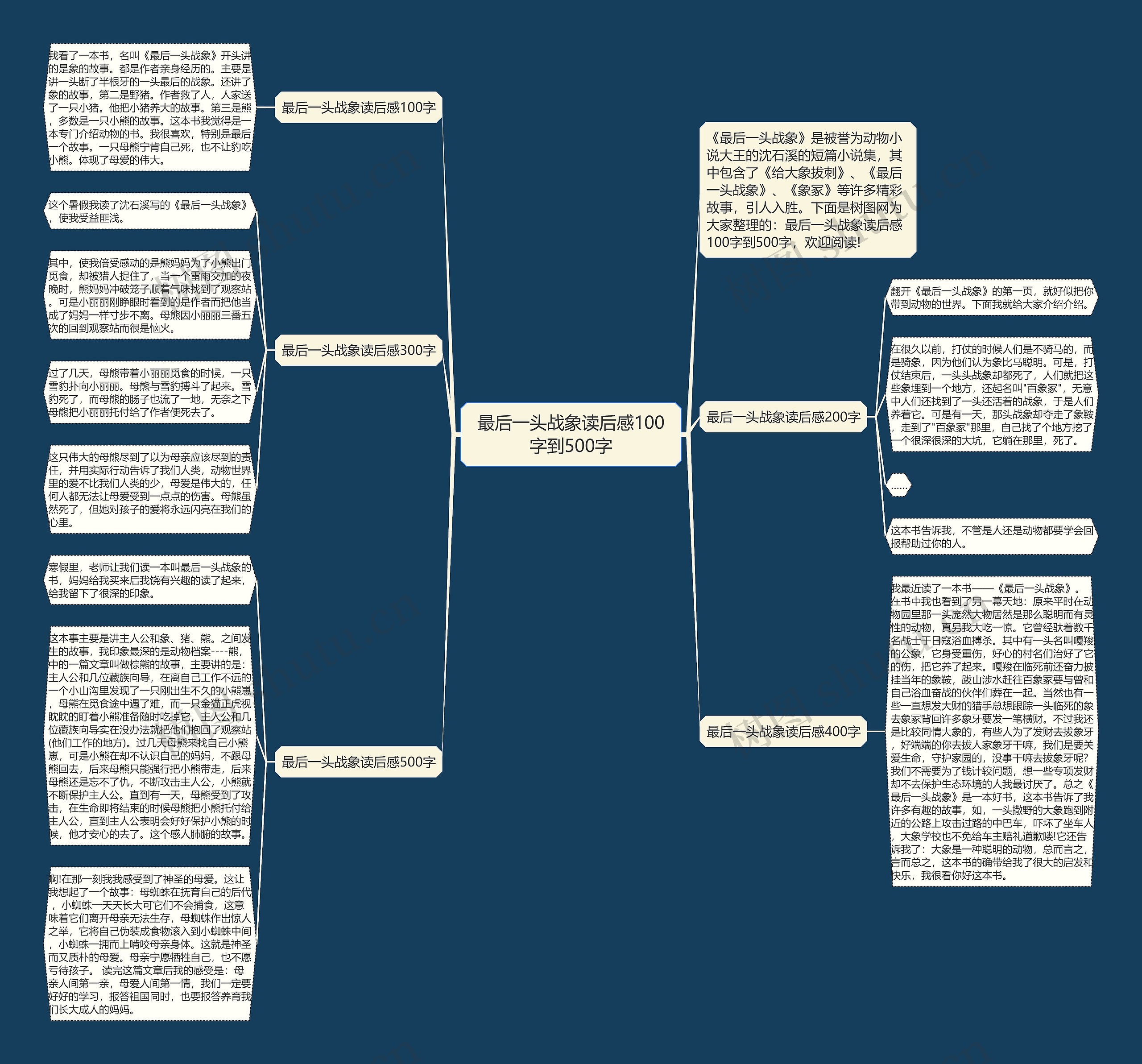 最后一头战象读后感100字到500字思维导图