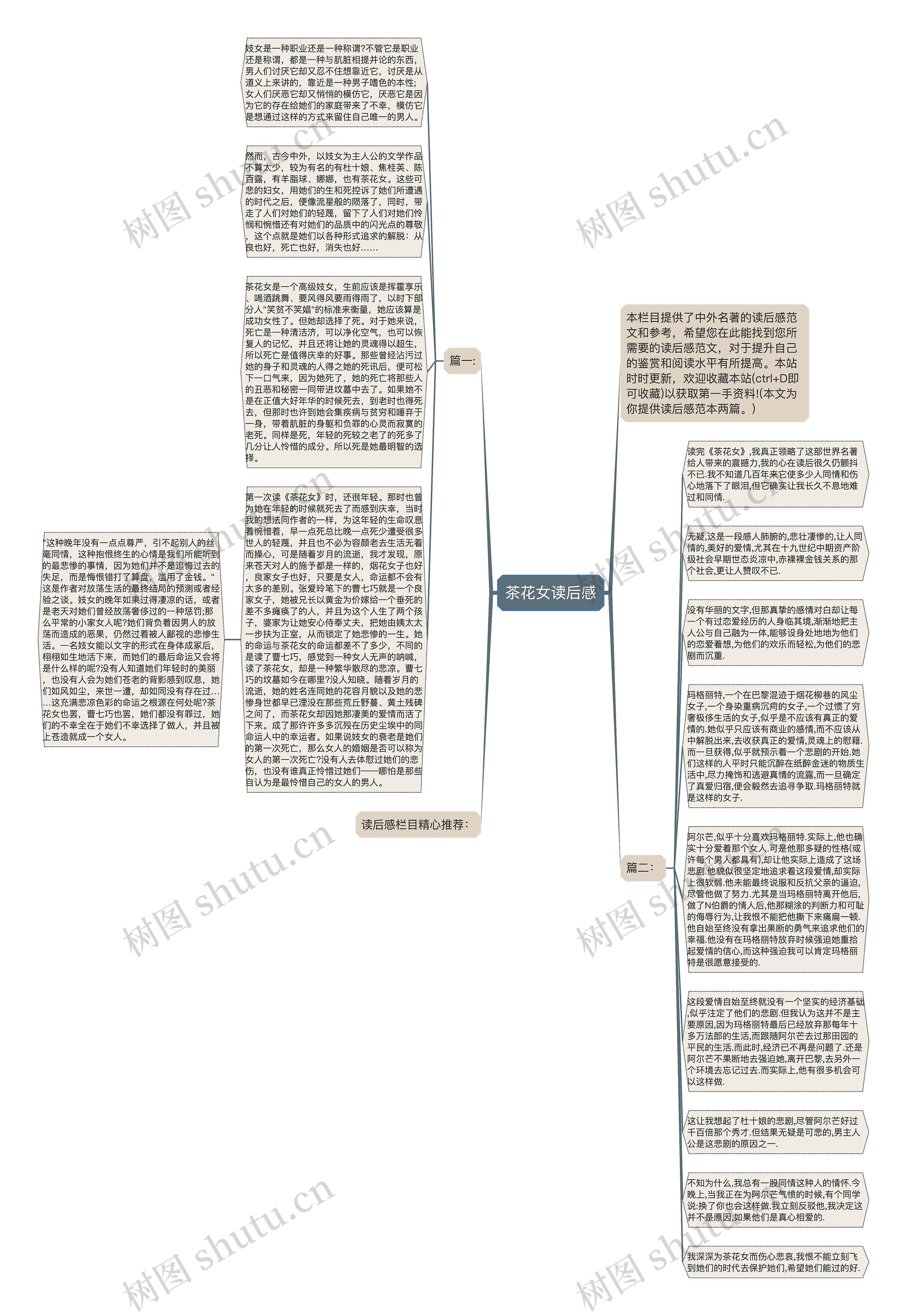 茶花女读后感思维导图