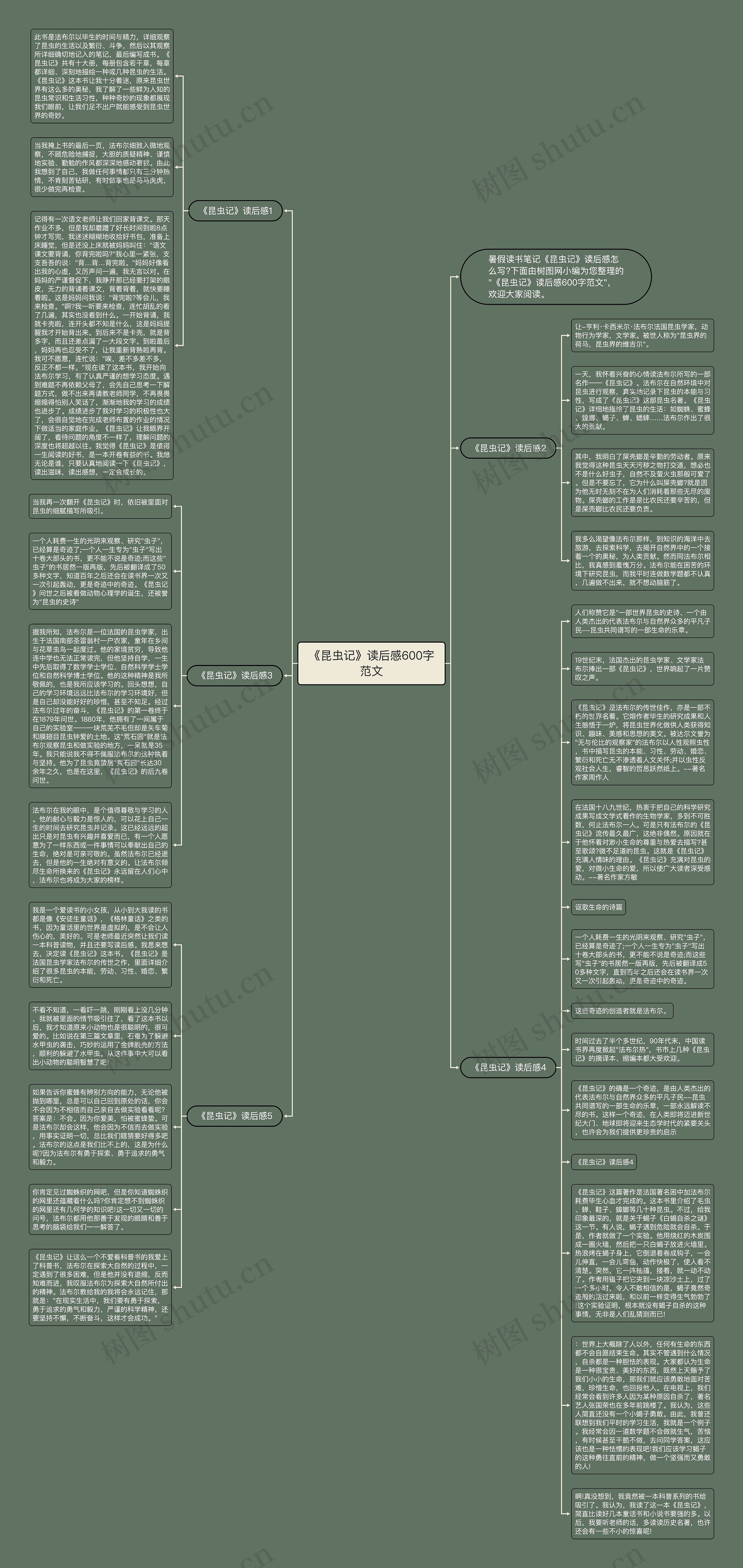 《昆虫记》读后感600字范文思维导图