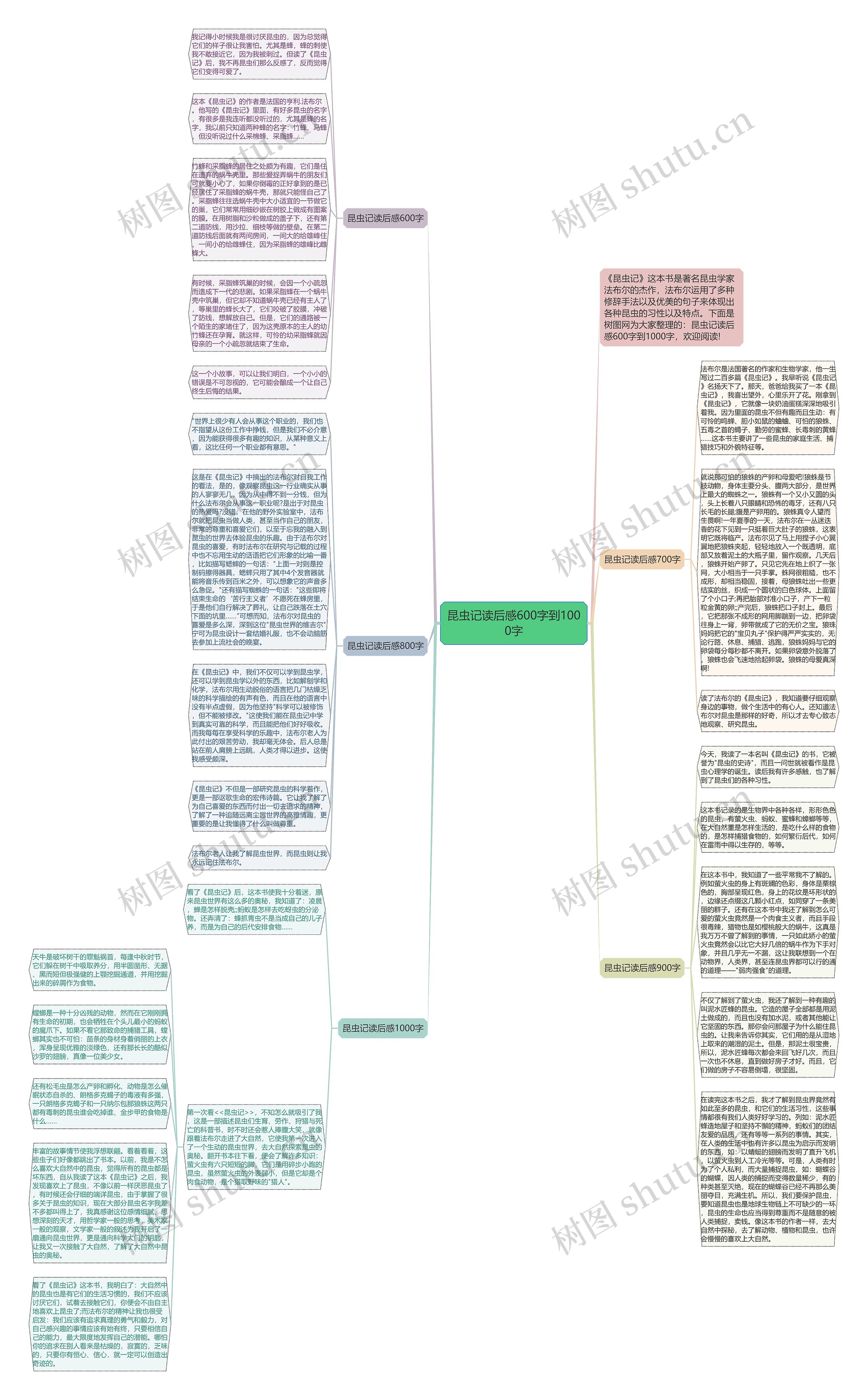 昆虫记读后感600字到1000字思维导图