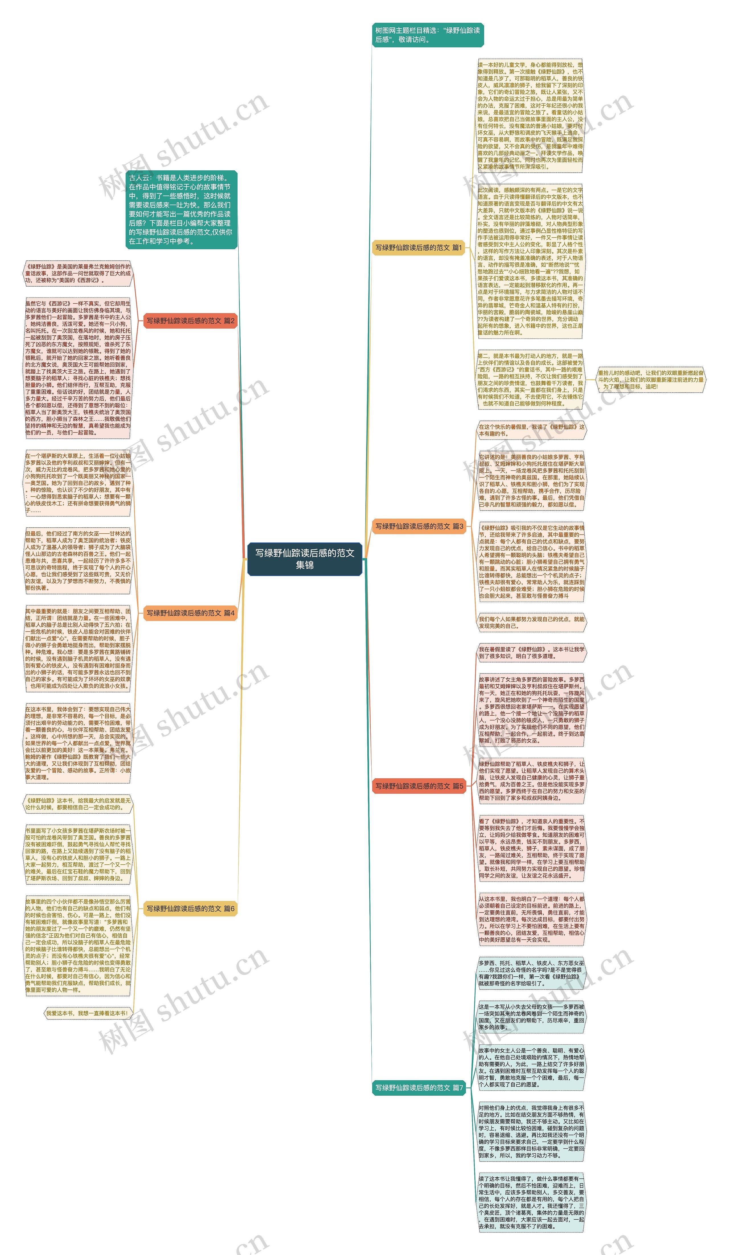 写绿野仙踪读后感的范文集锦思维导图
