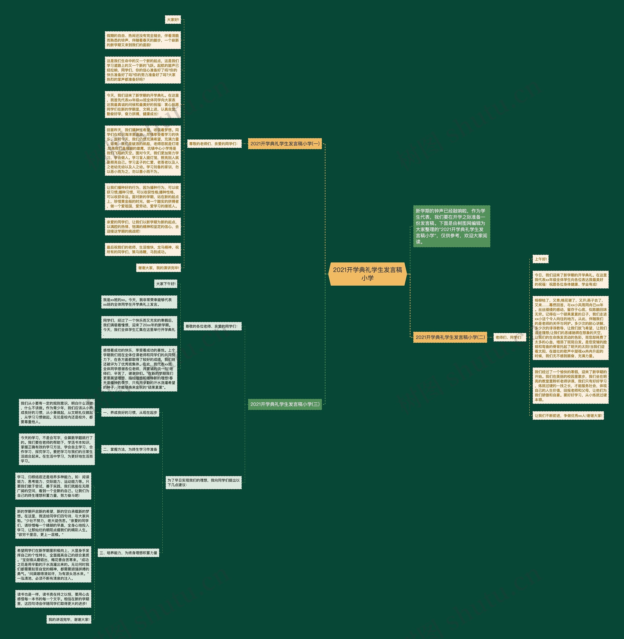 2021开学典礼学生发言稿小学思维导图