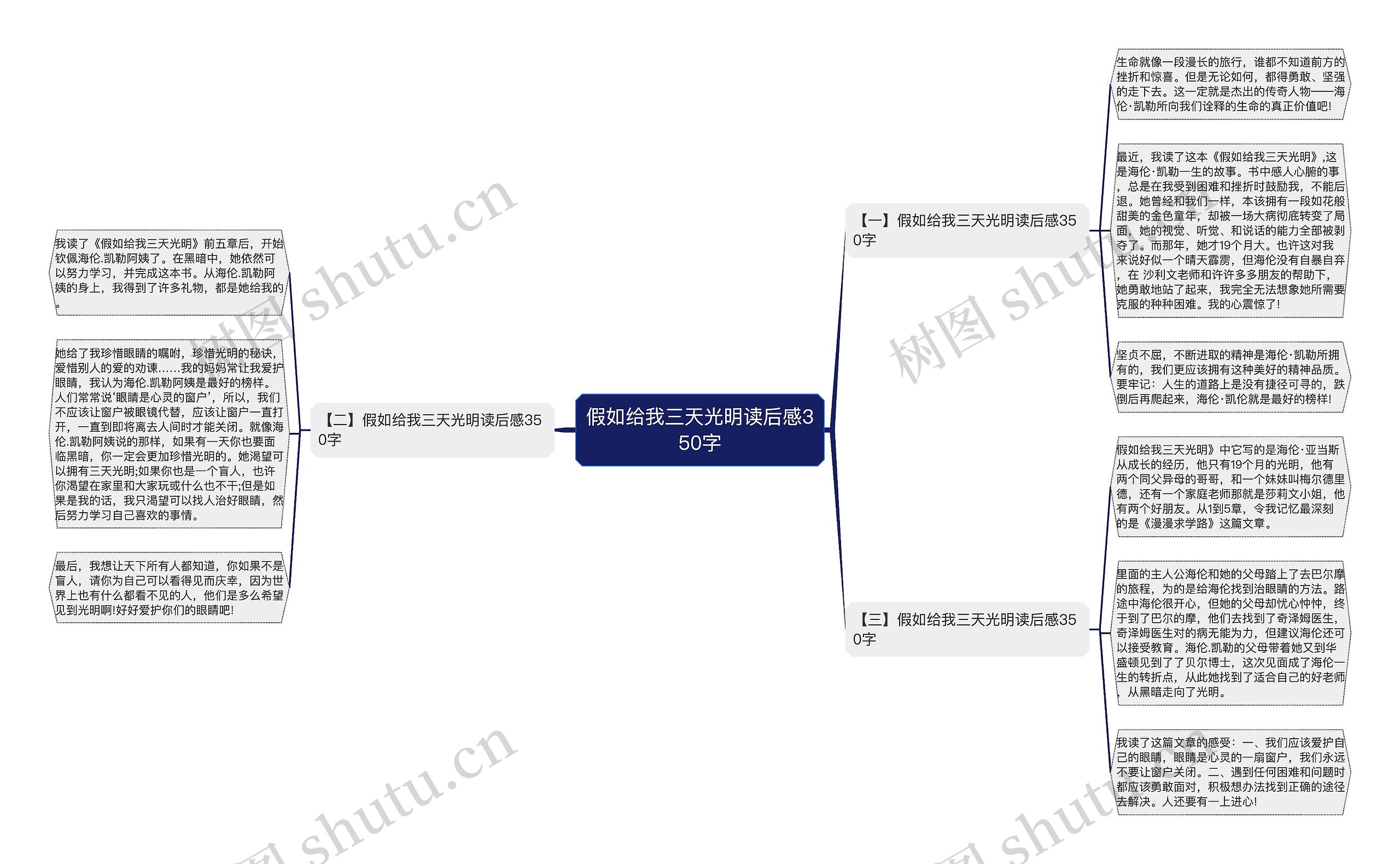 假如给我三天光明读后感350字思维导图