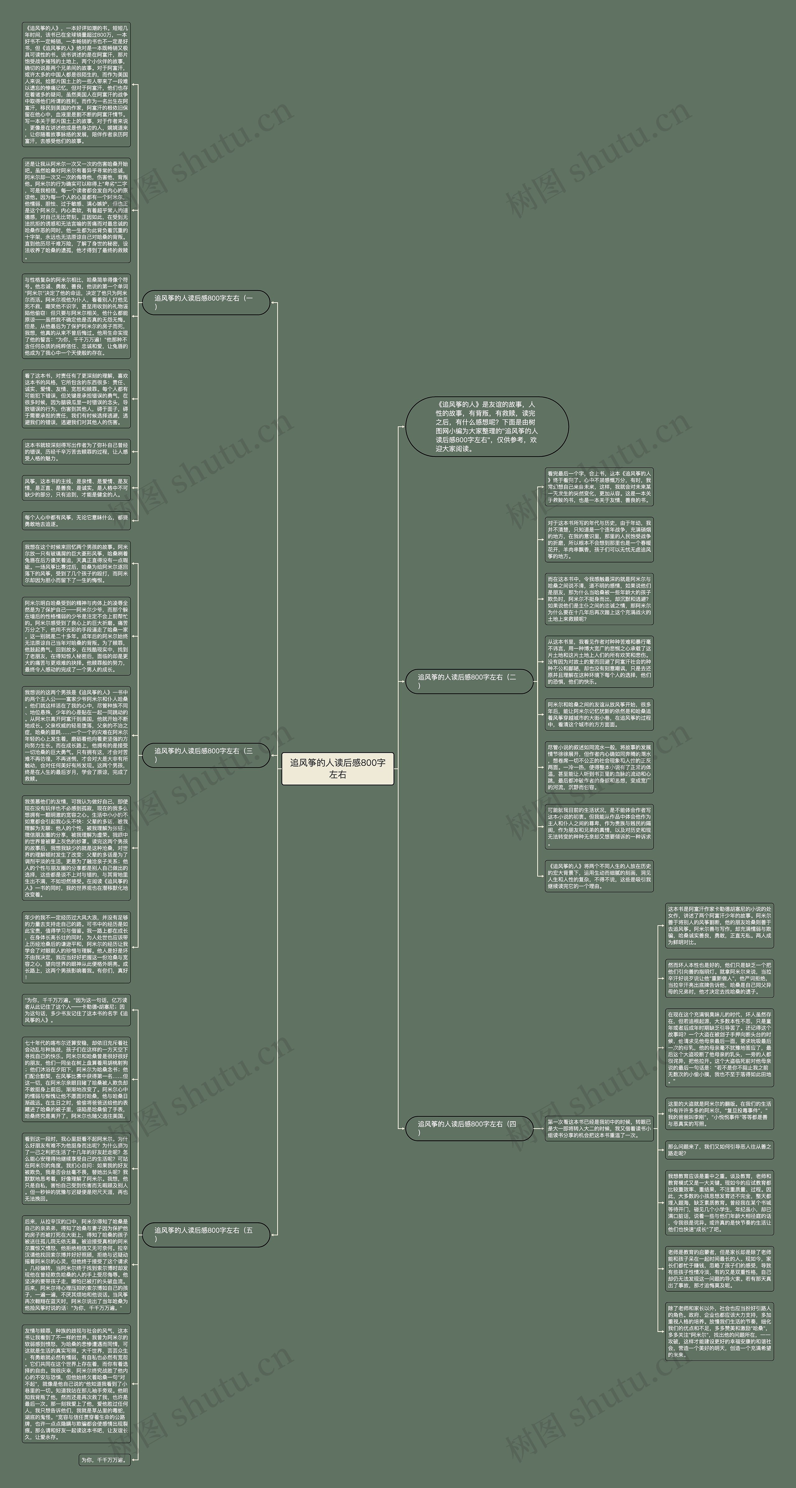 追风筝的人读后感800字左右思维导图