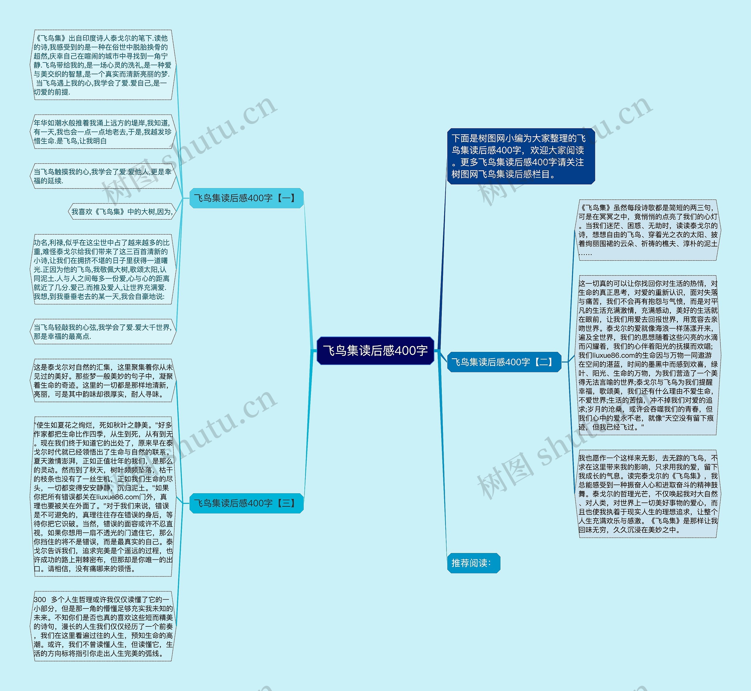 飞鸟集读后感400字思维导图